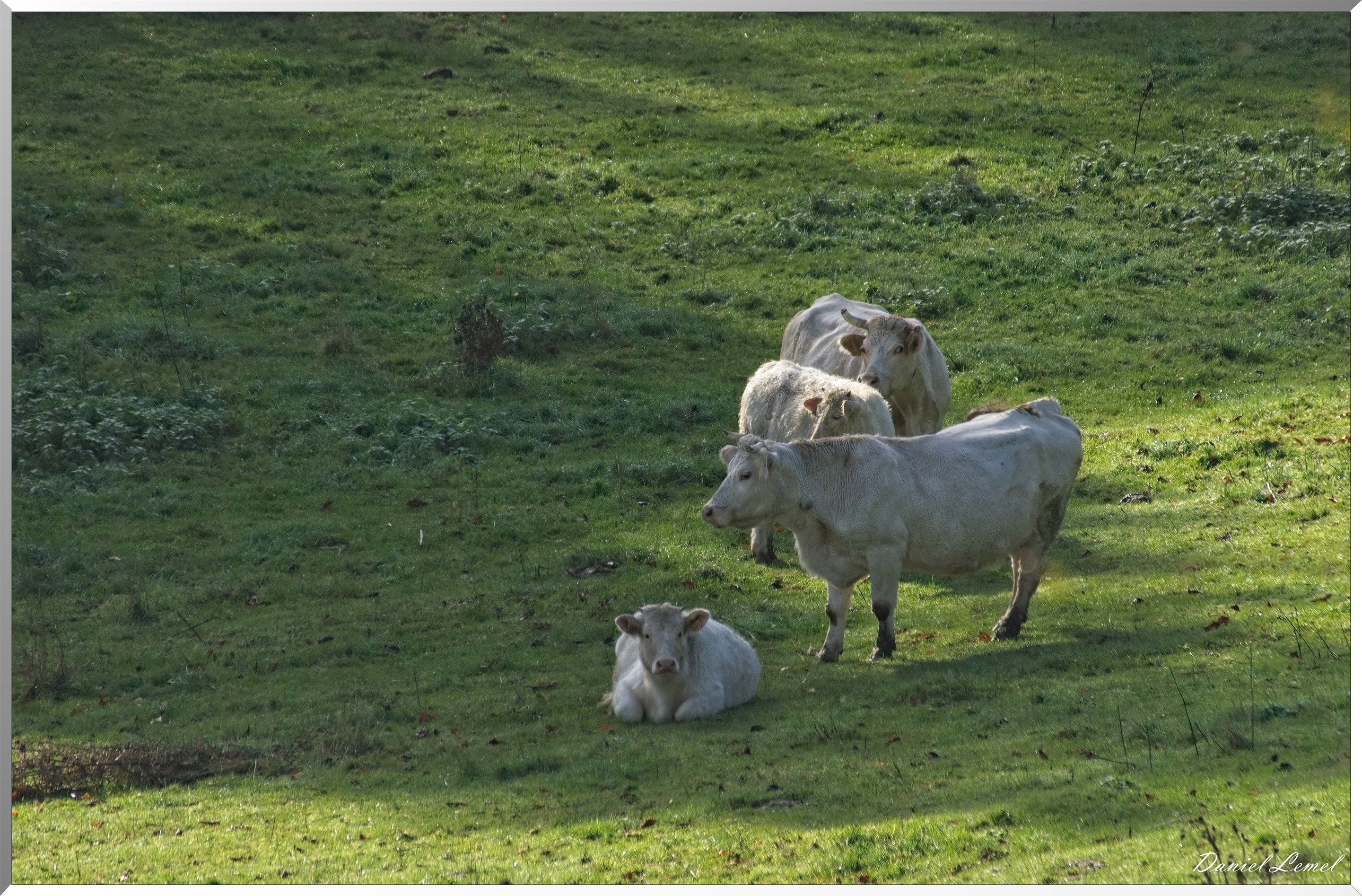 Saint-Pierre-de-Bailleul