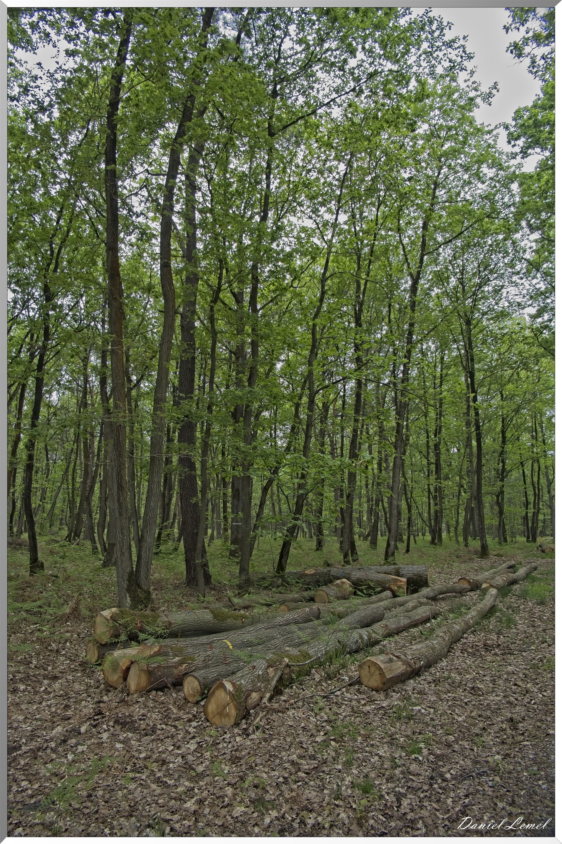 St-Aubin-sur-Gaillon