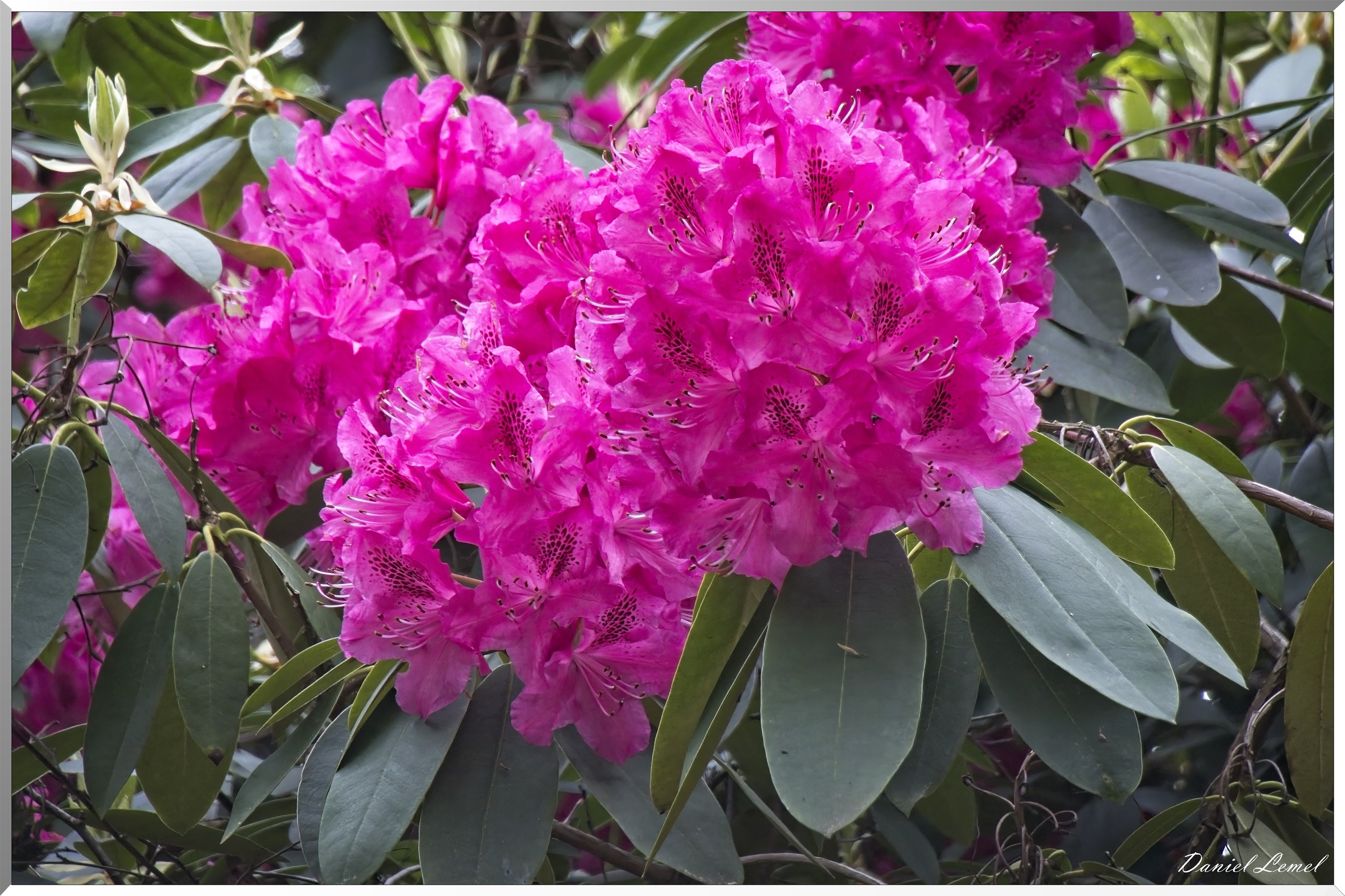 St-Aubin-sur-Gaillon