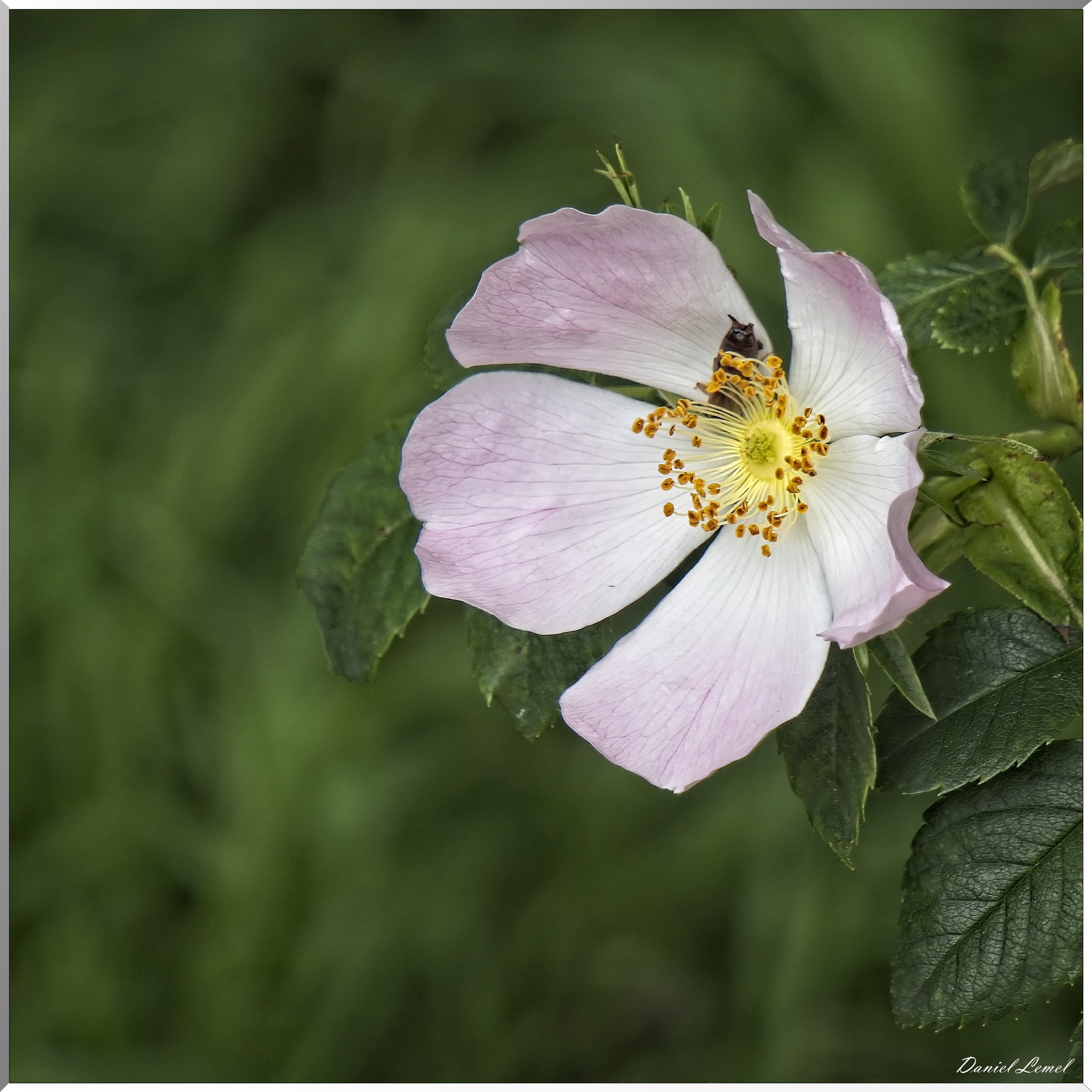 St-Aubin-sur-Gaillon