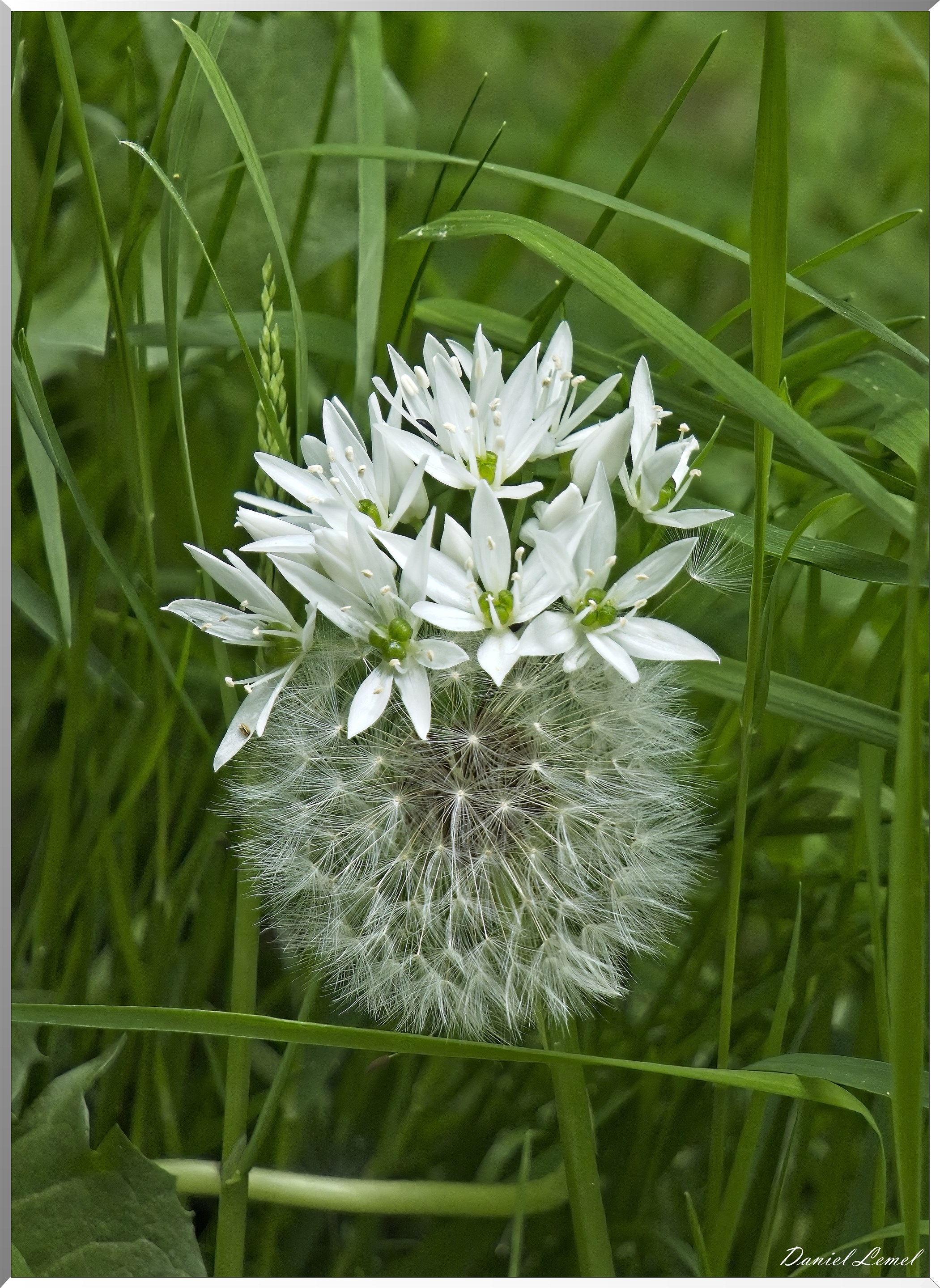 St-Aubin-sur-Gaillon