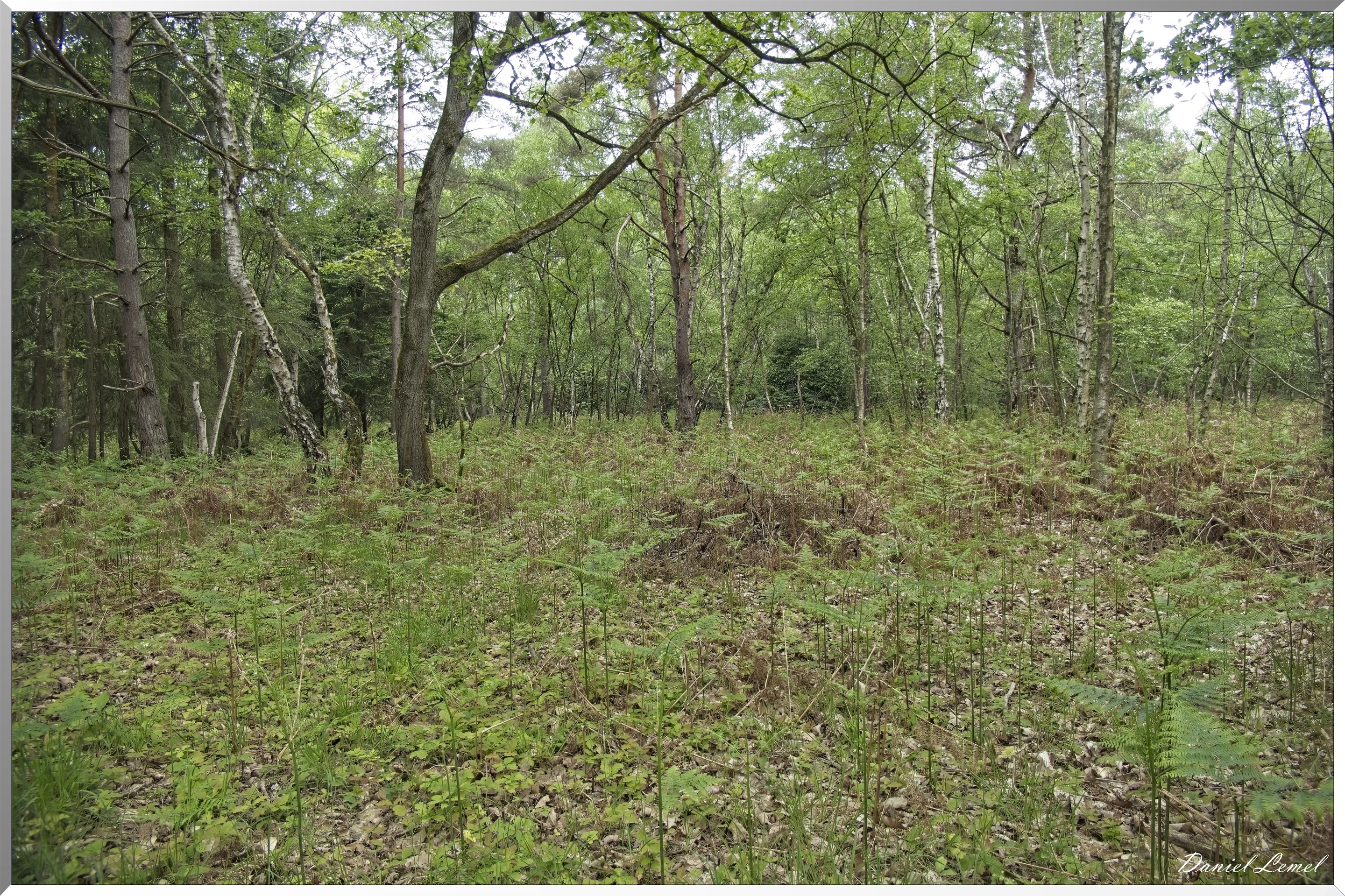 St-Aubin-sur-Gaillon