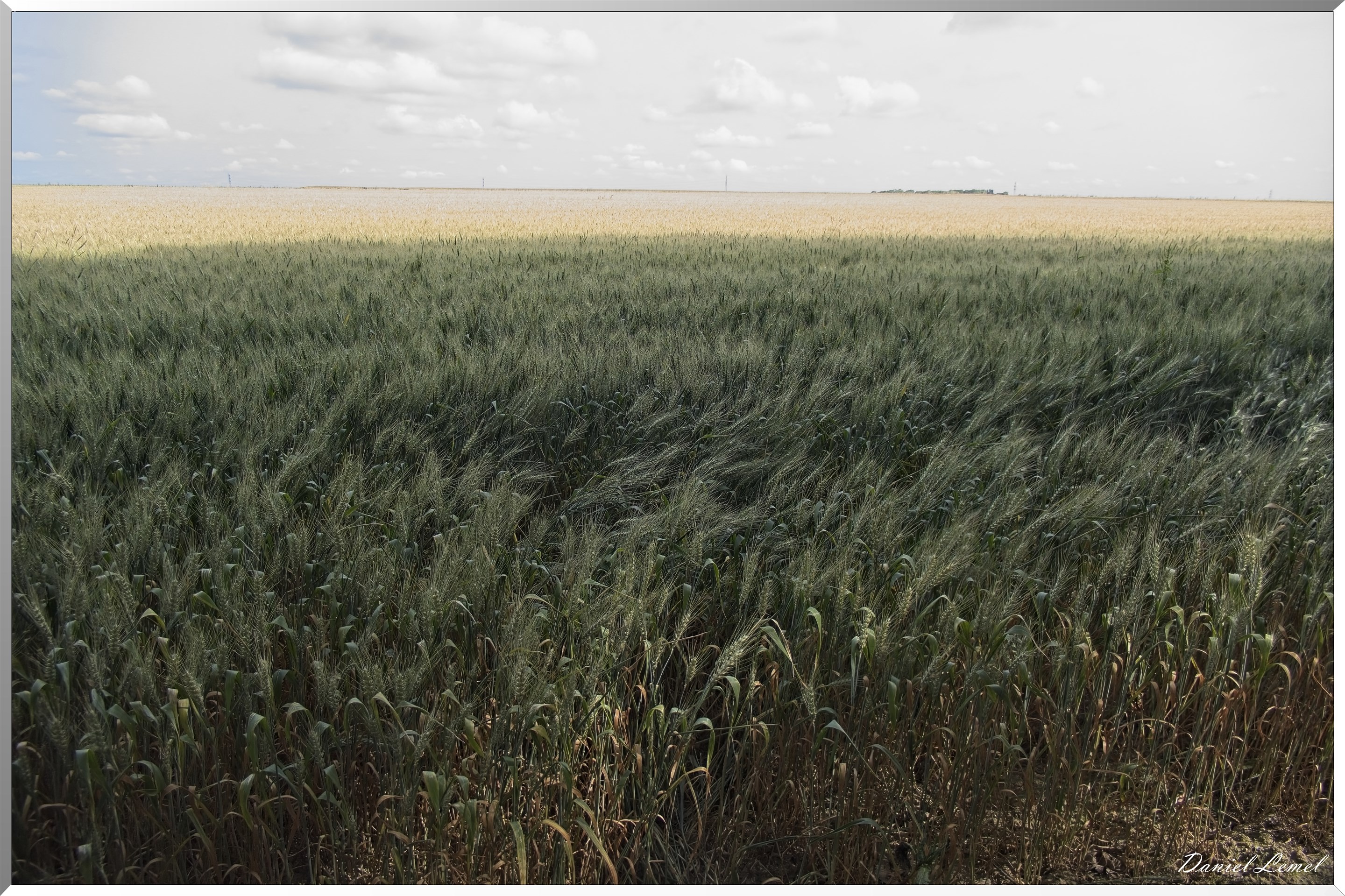 Ste-Geneviève-lès-Gasny