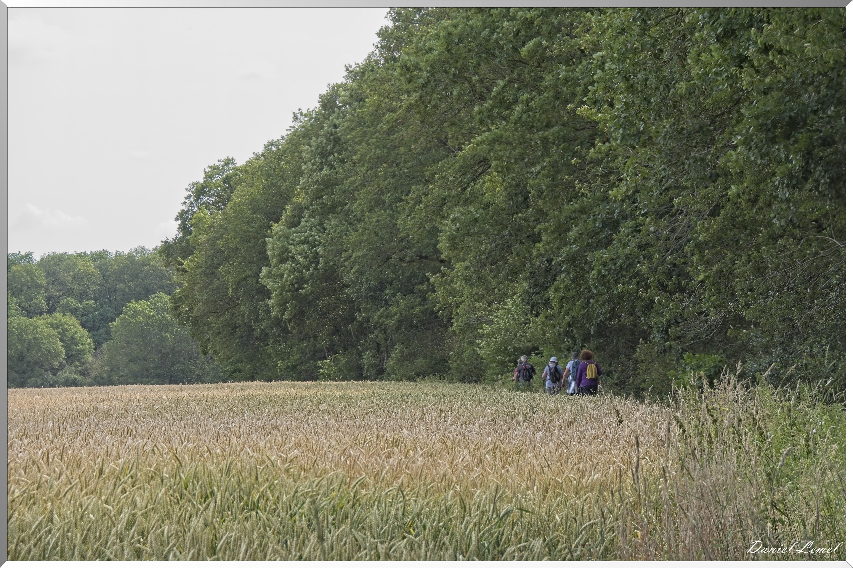 Ste-Geneviève-lès-Gasny
