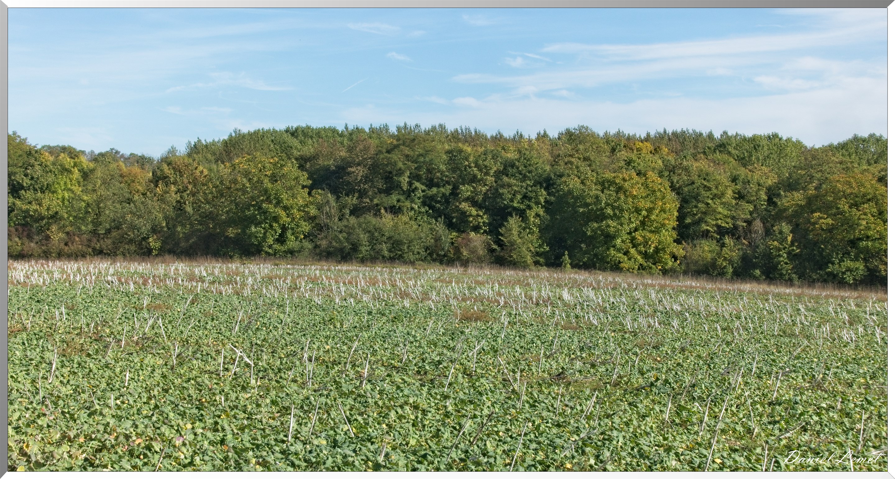 Congis-sur-Thérouanne