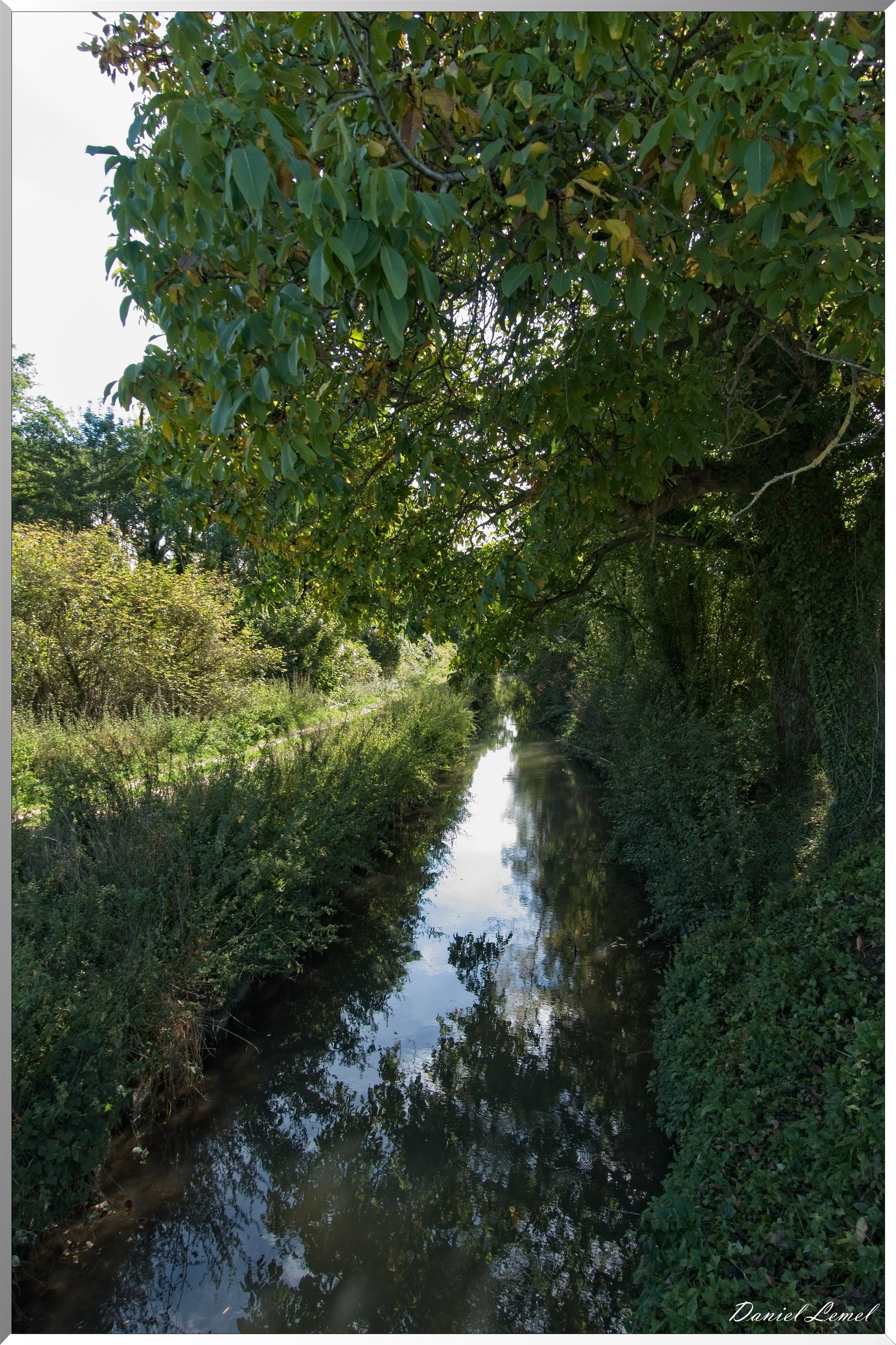 Congis-sur-Thérouanne