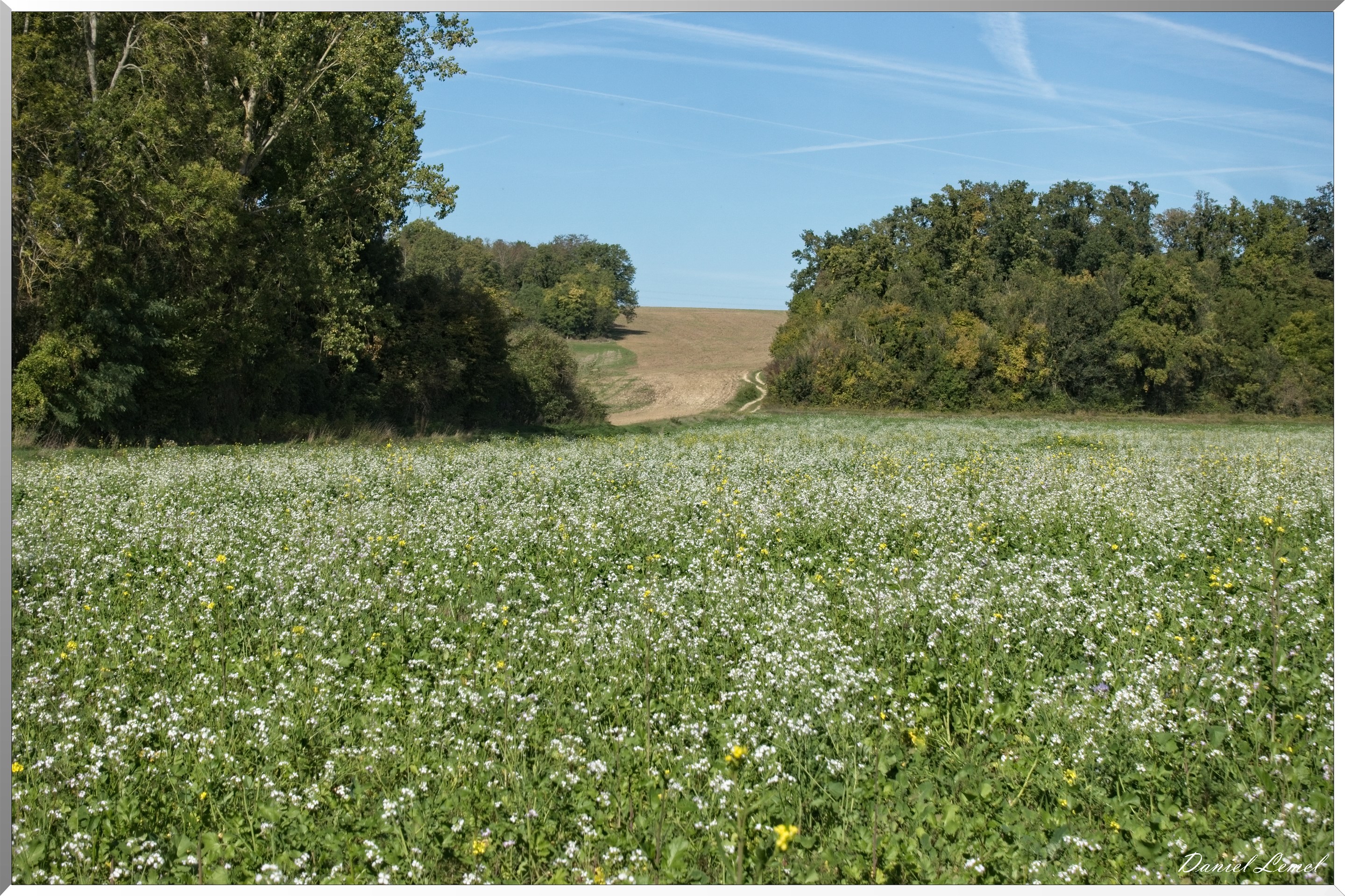 Congis-sur-Thérouanne