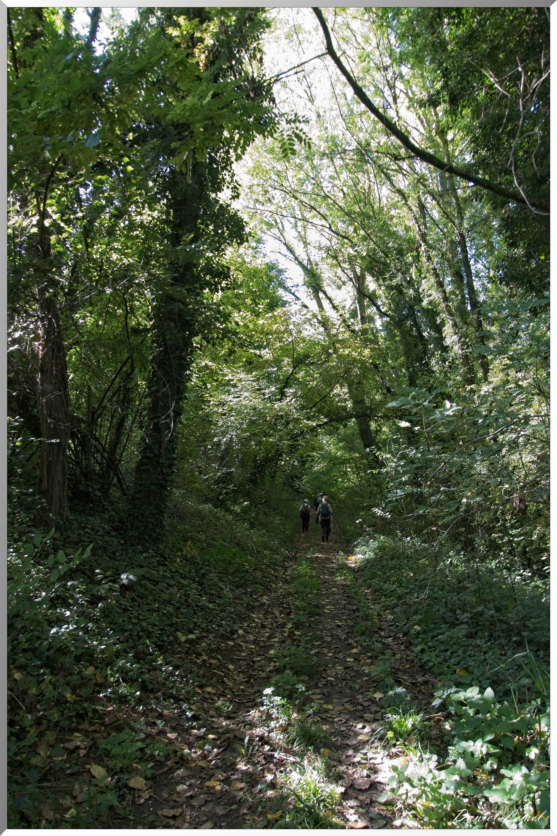 Congis-sur-Thérouanne