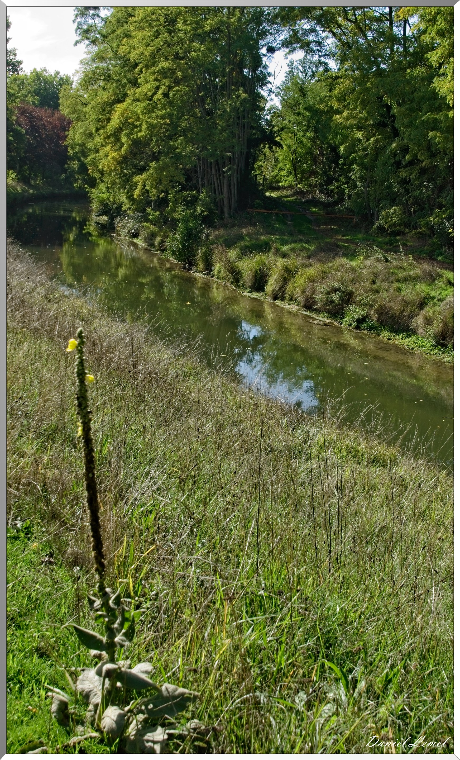 Congis-sur-Thérouanne