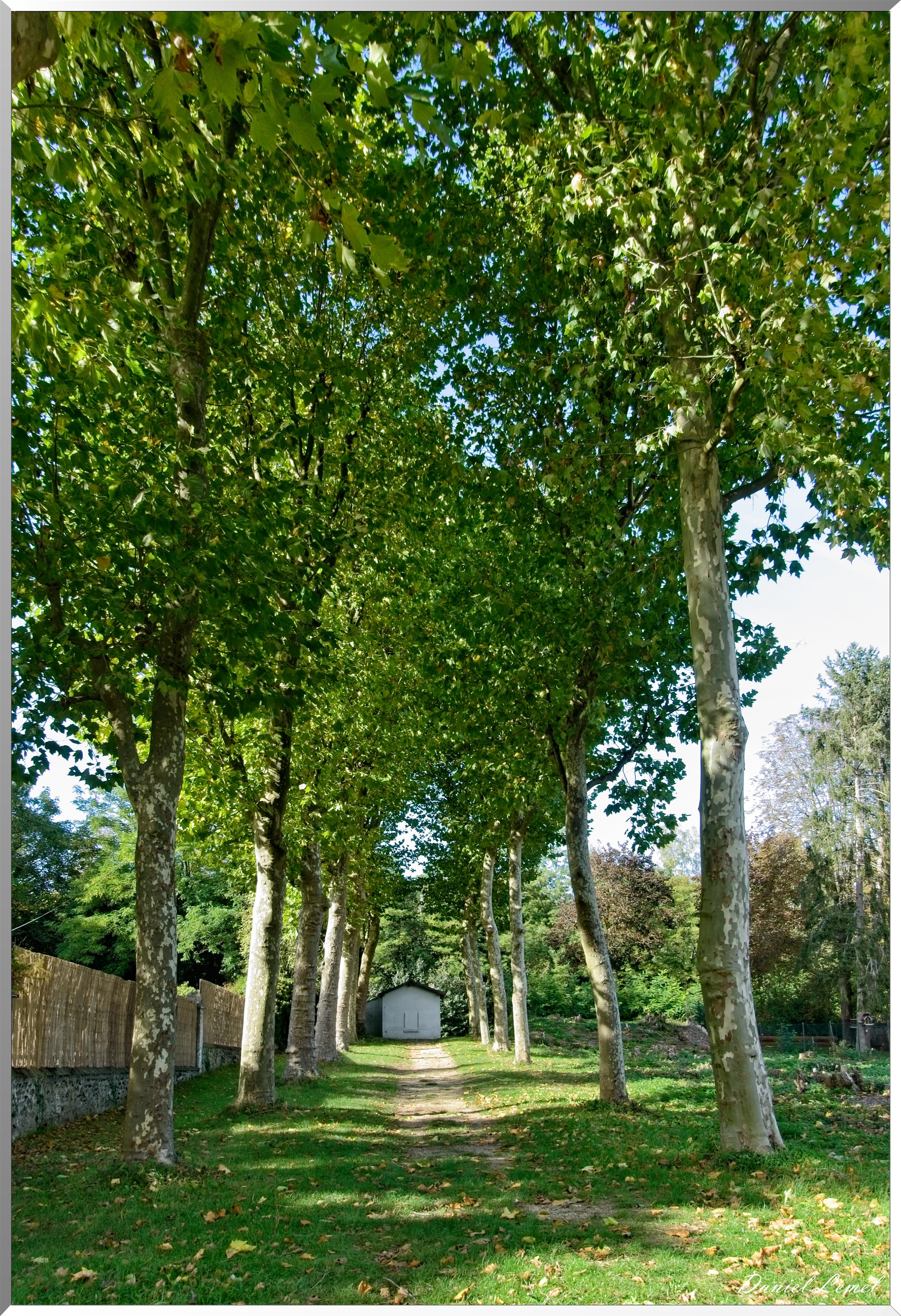Congis-sur-Thérouanne