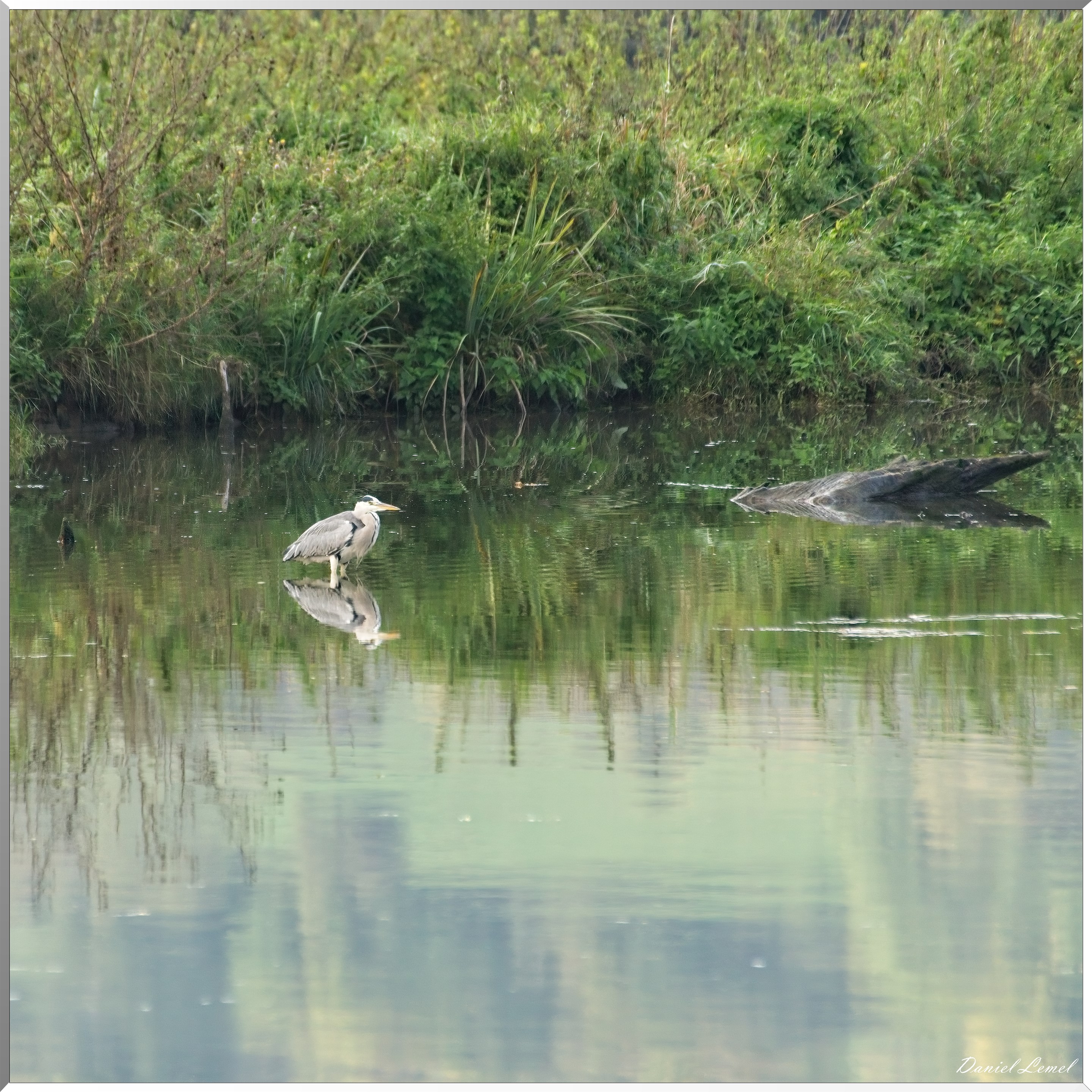 Pressagny-l'orgueilleux