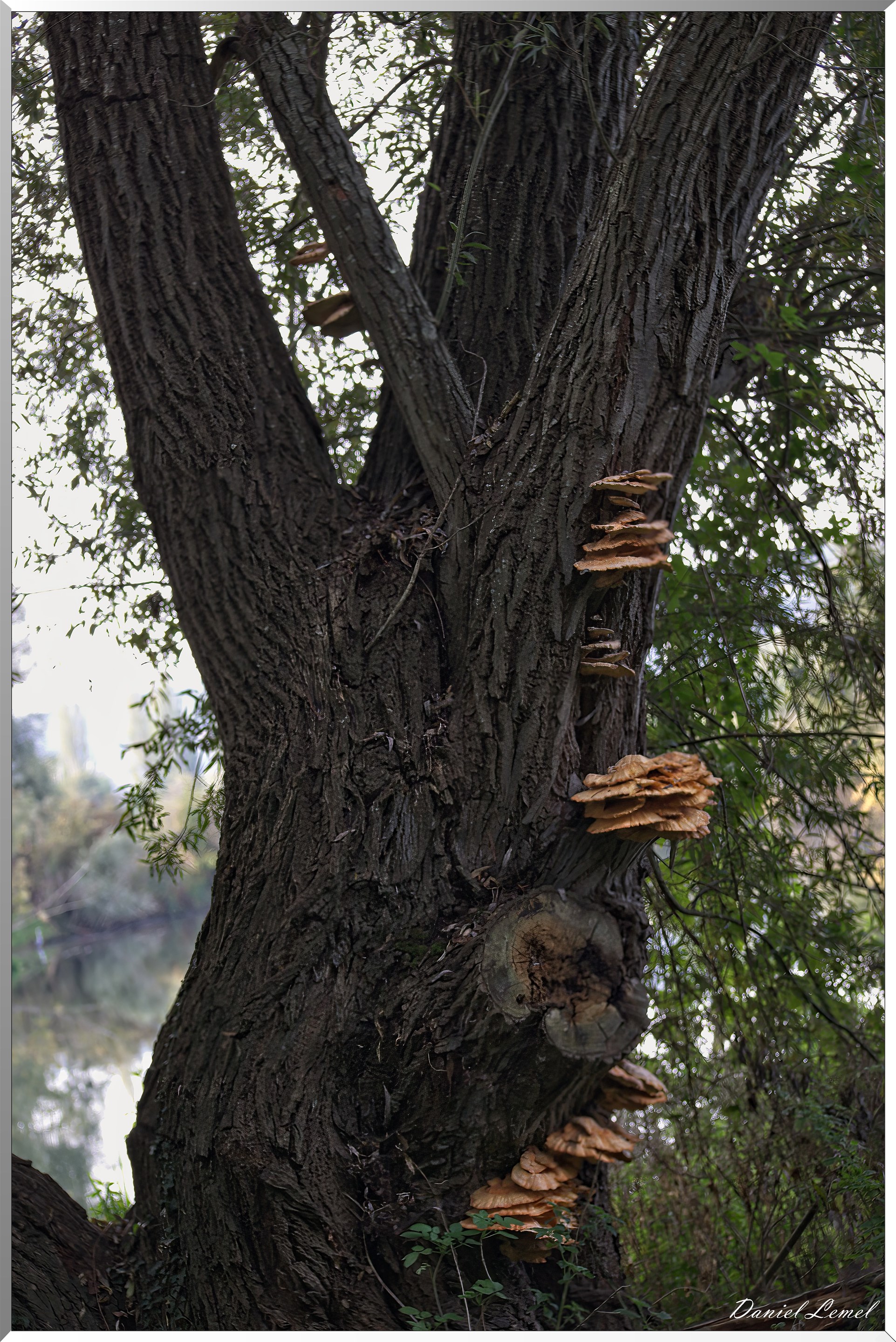 Pressagny-l'orgueilleux