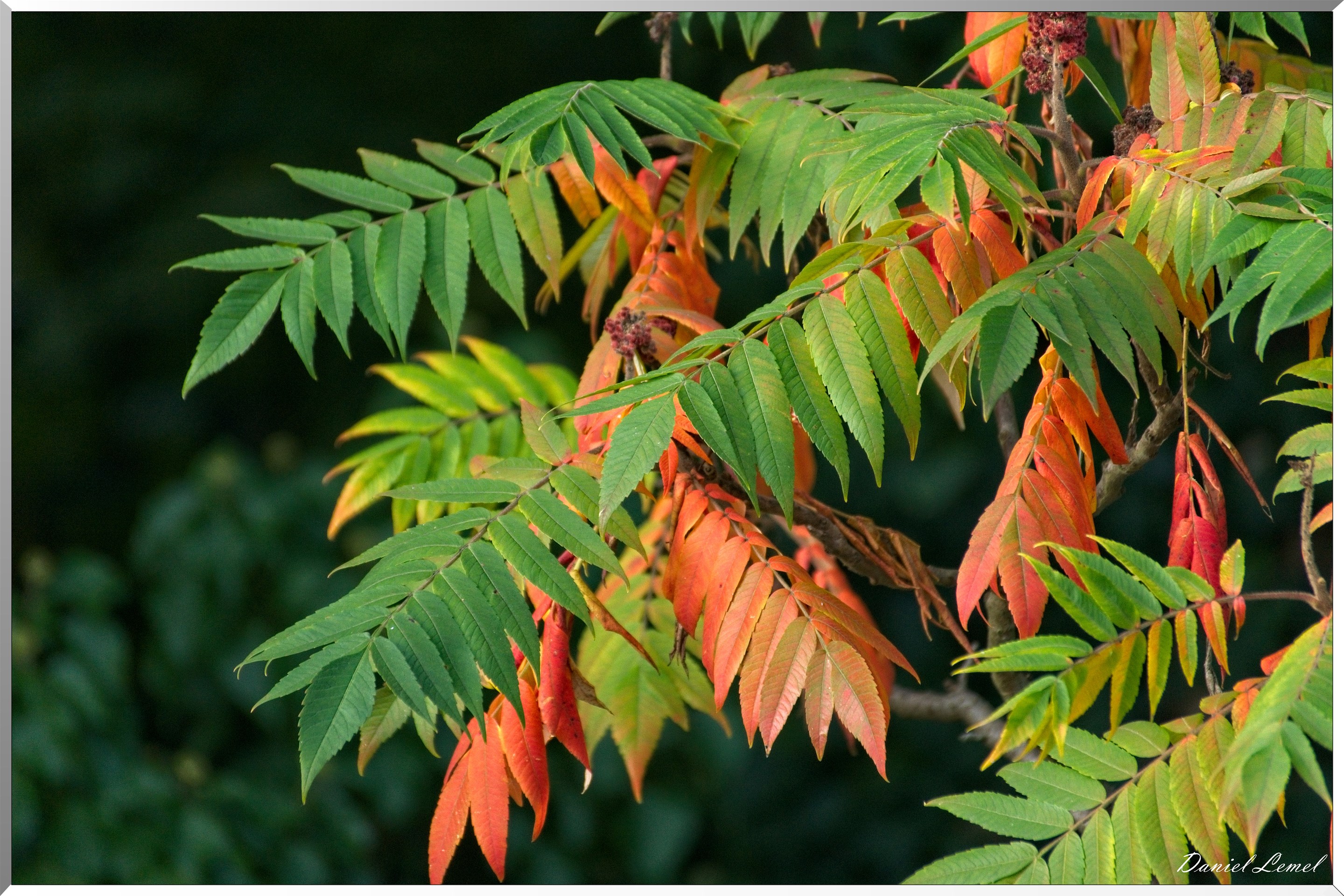 Pressagny-l'orgueilleux