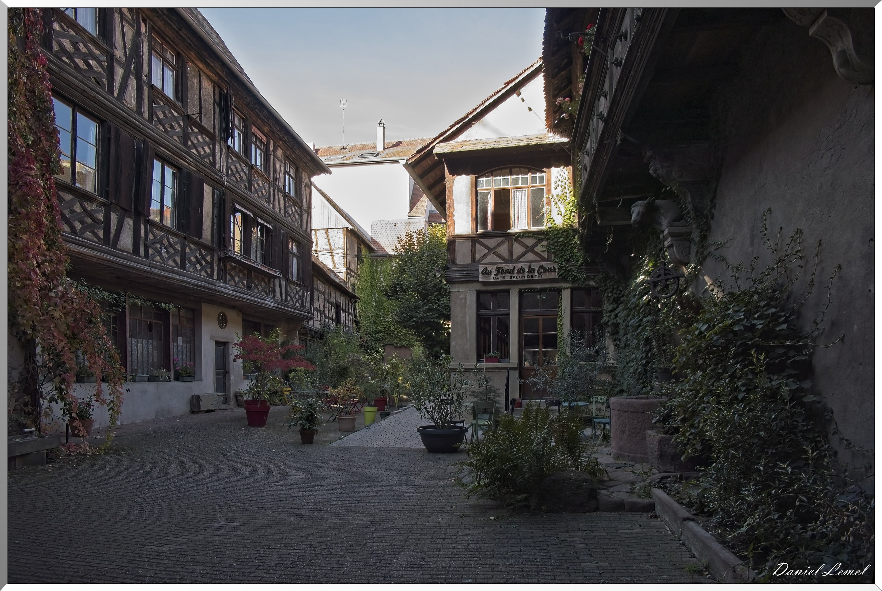 Obernai