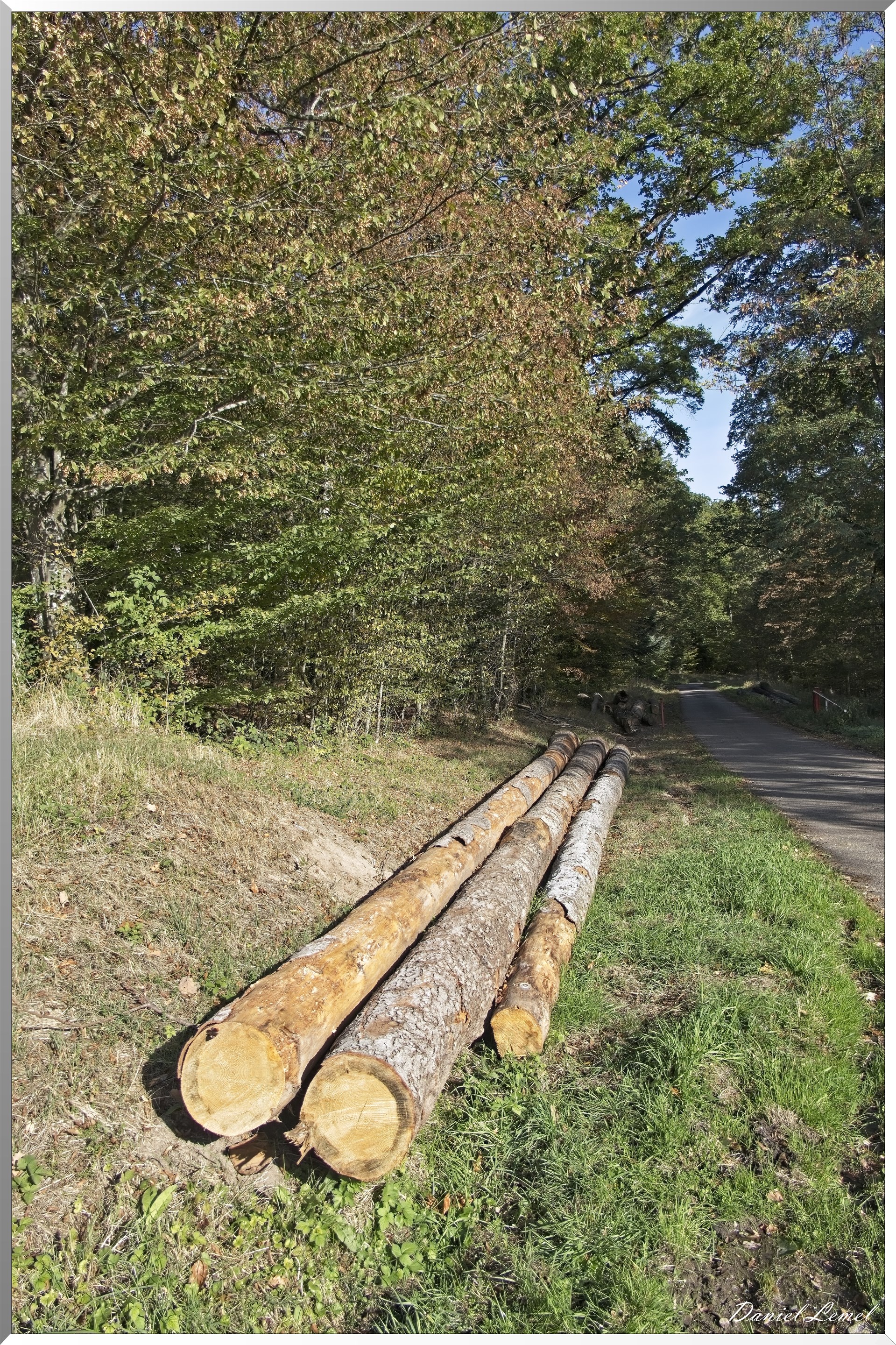 Heiligenstein