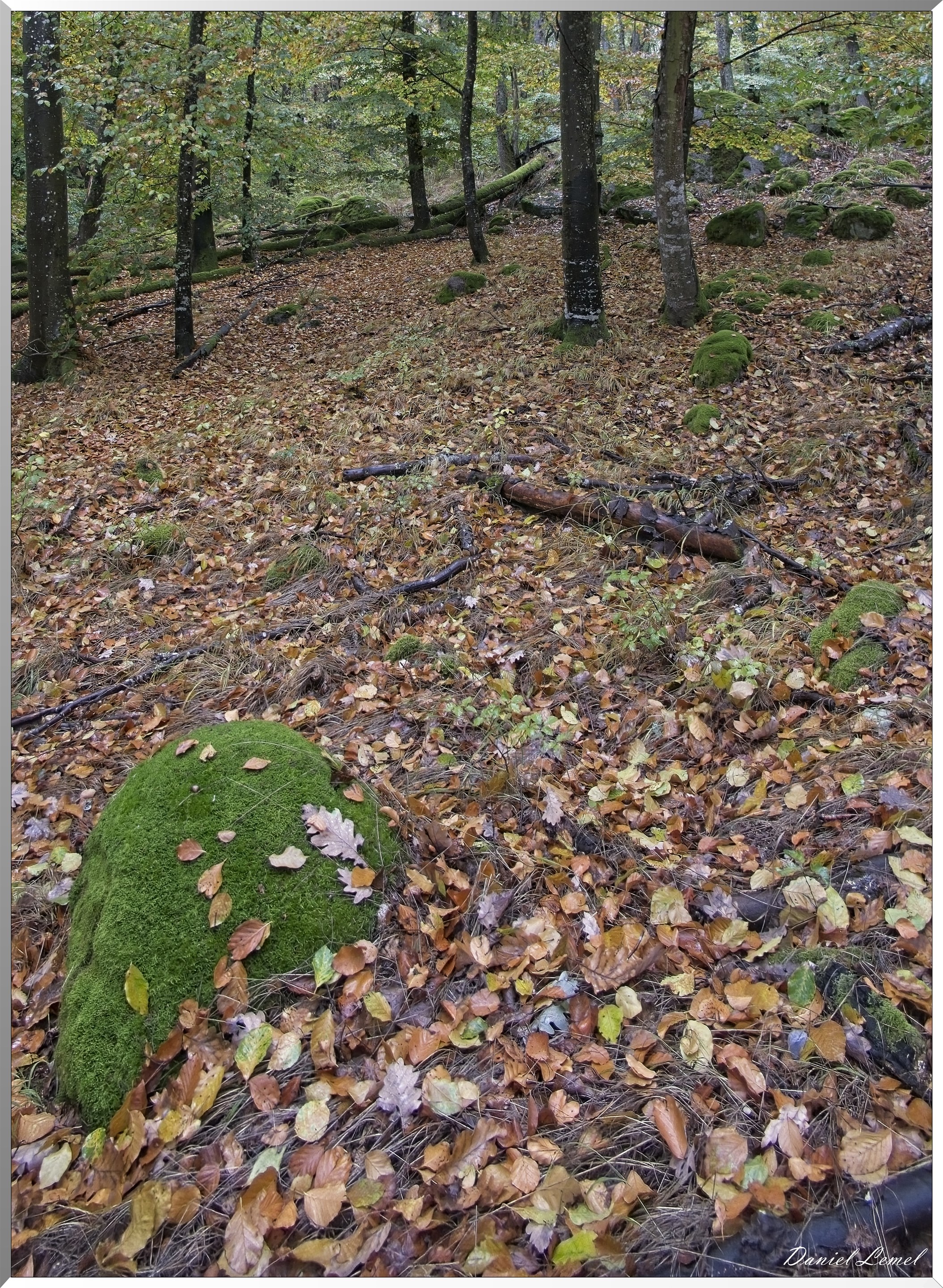 Château du Landsberg