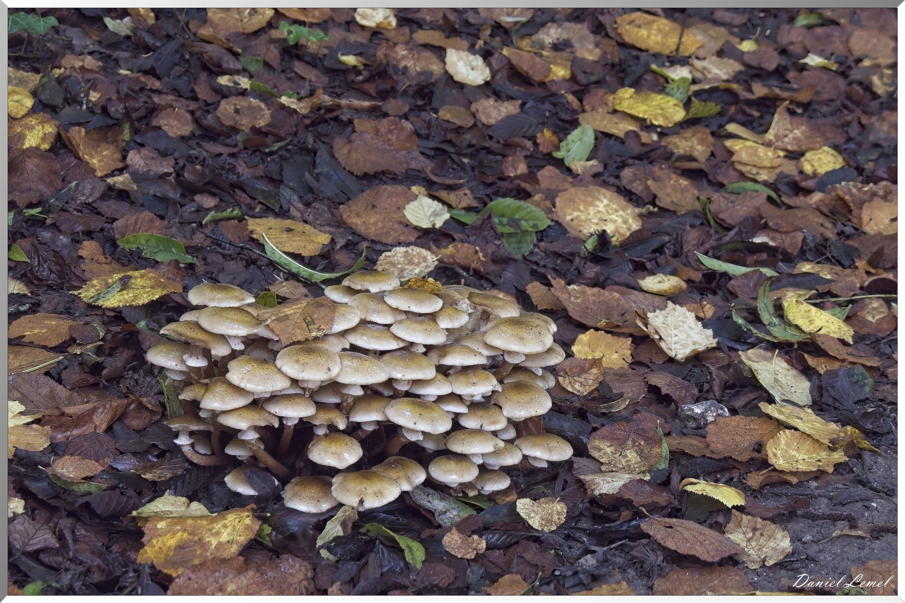 Heudreville-sur-Eure