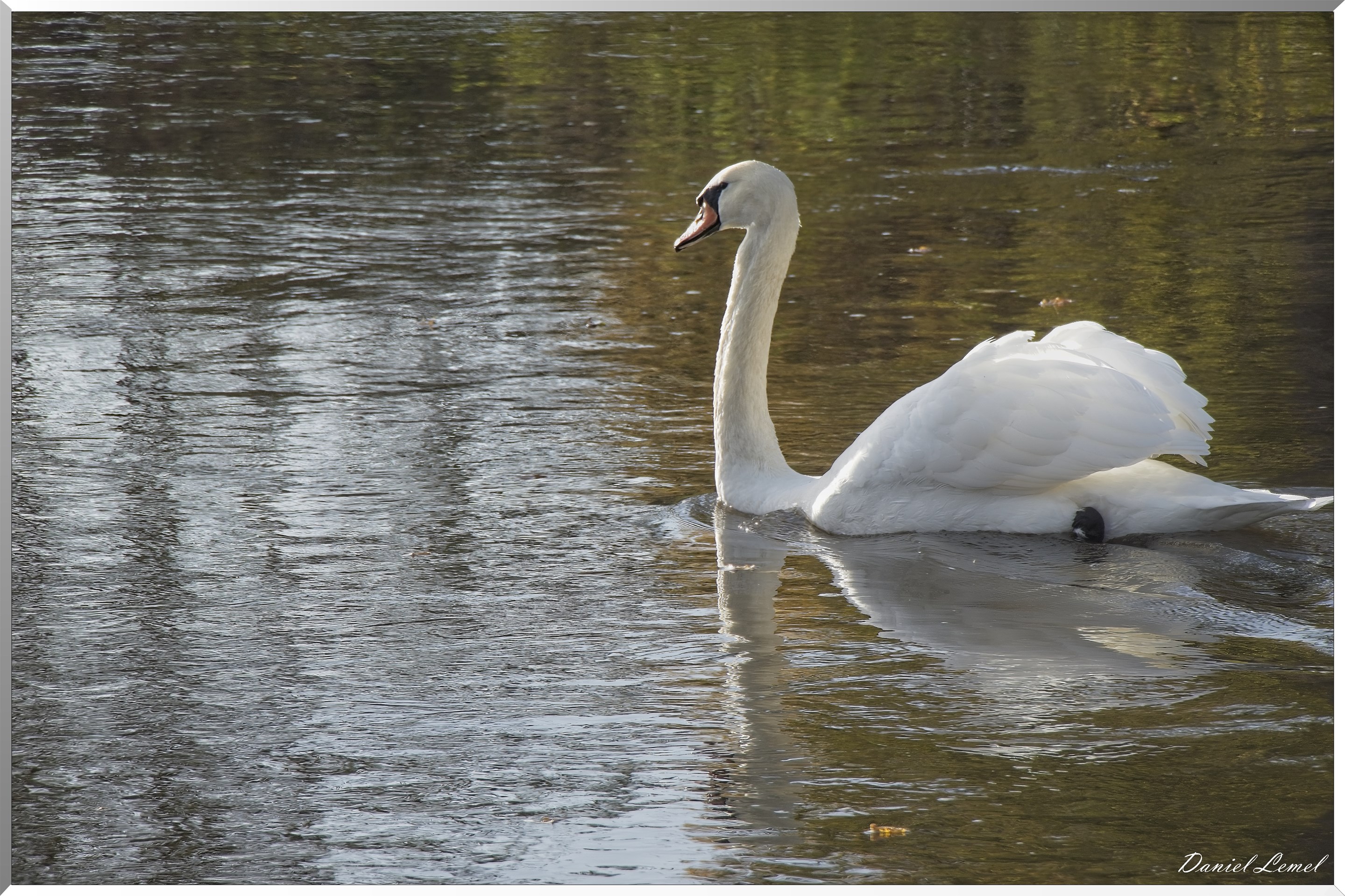 Pacy-sur-Eure
