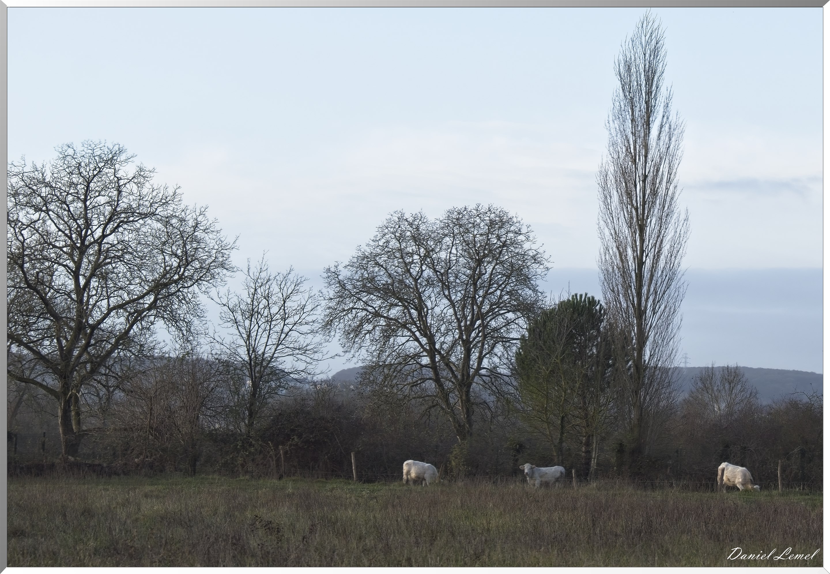 Gommecourt