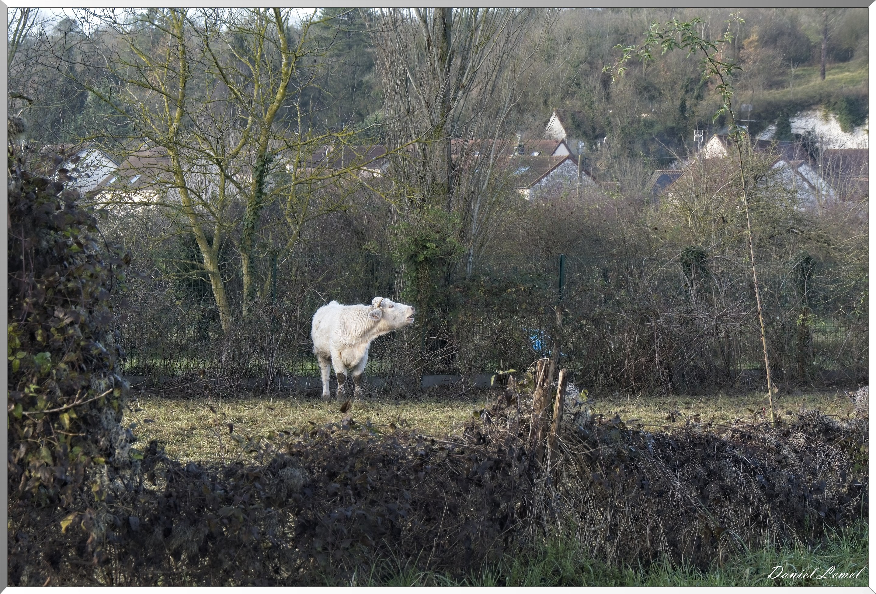 Gommecourt
