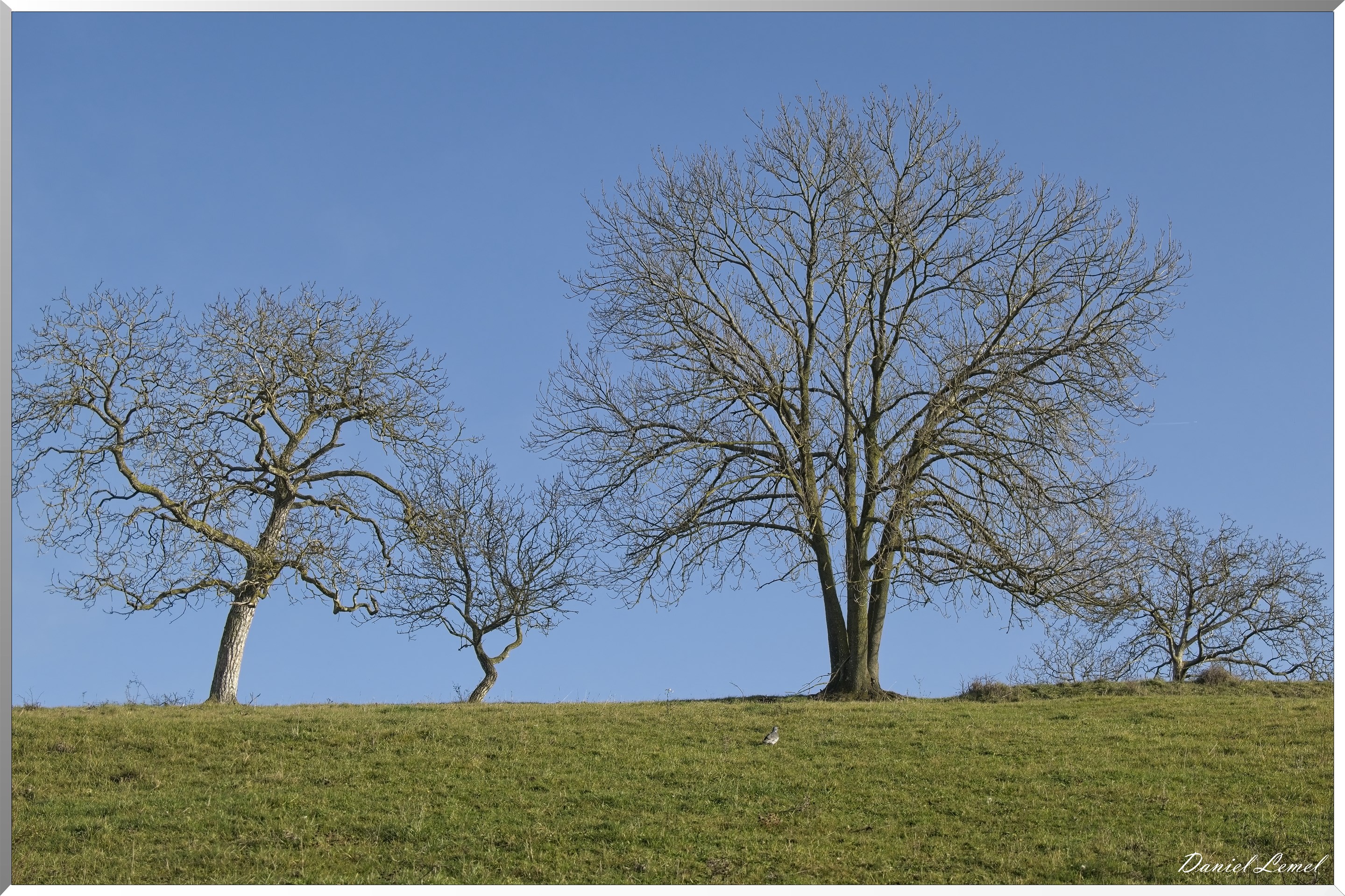 Gommecourt