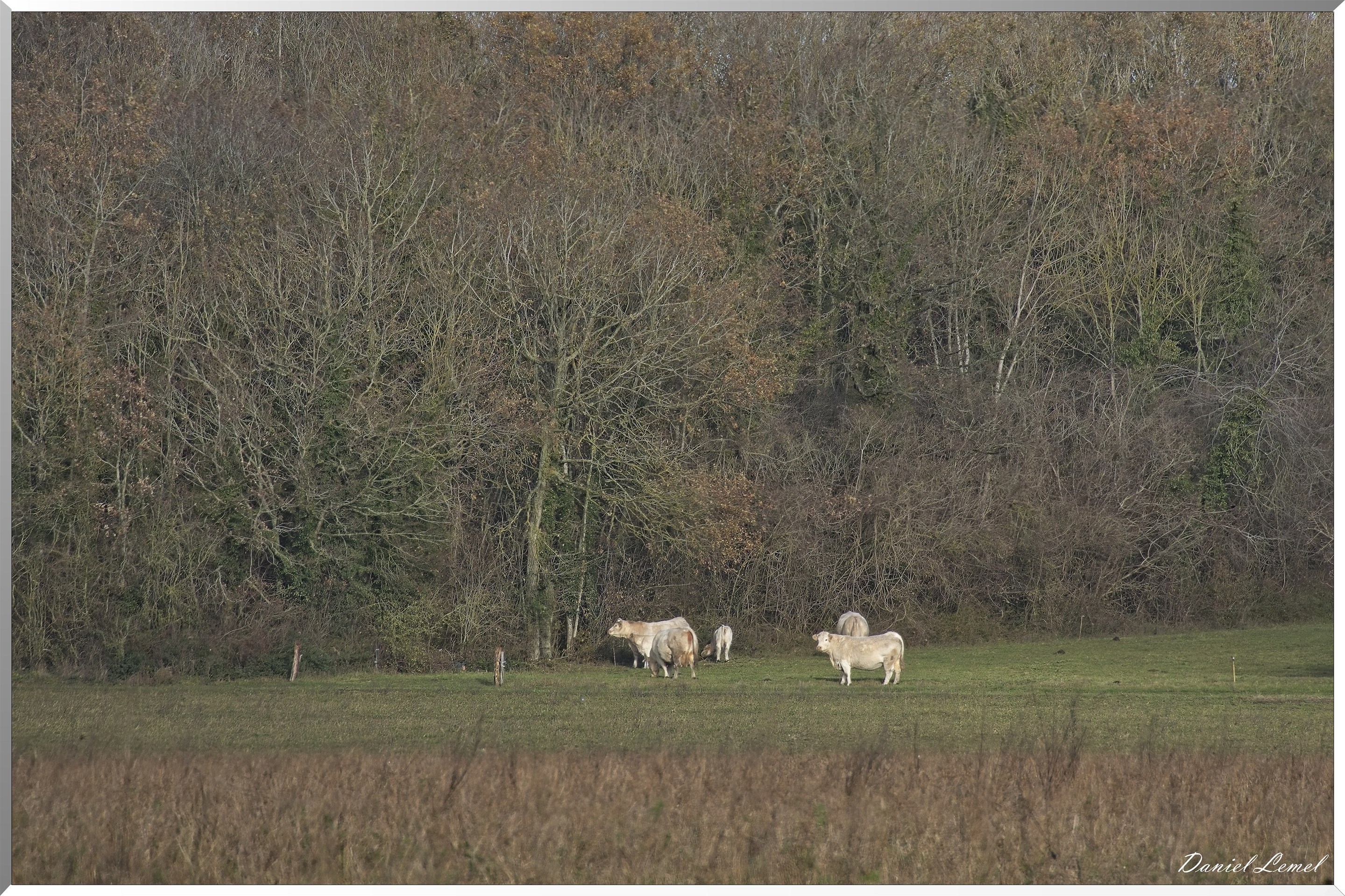 Gommecourt