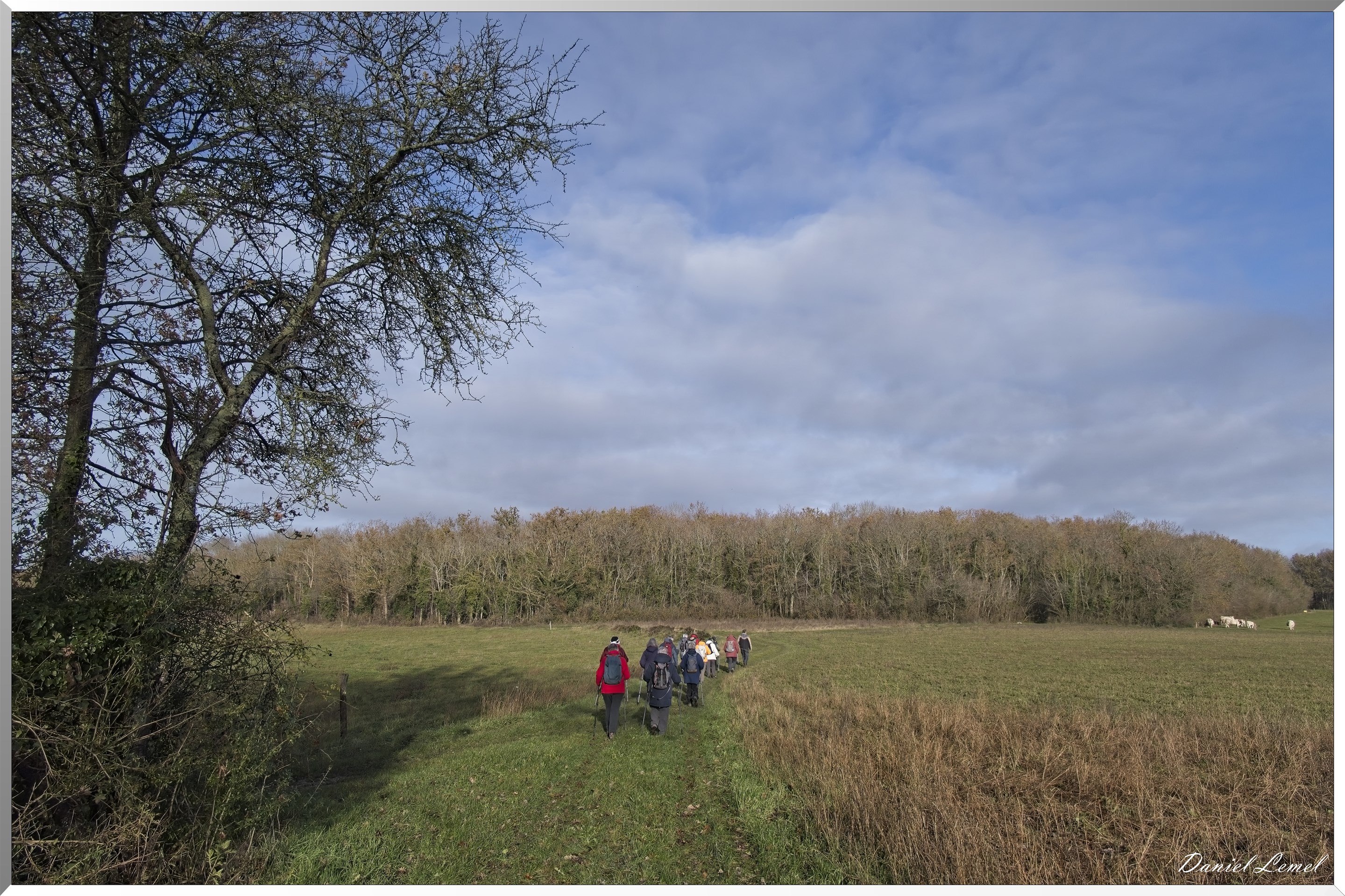 Gommecourt