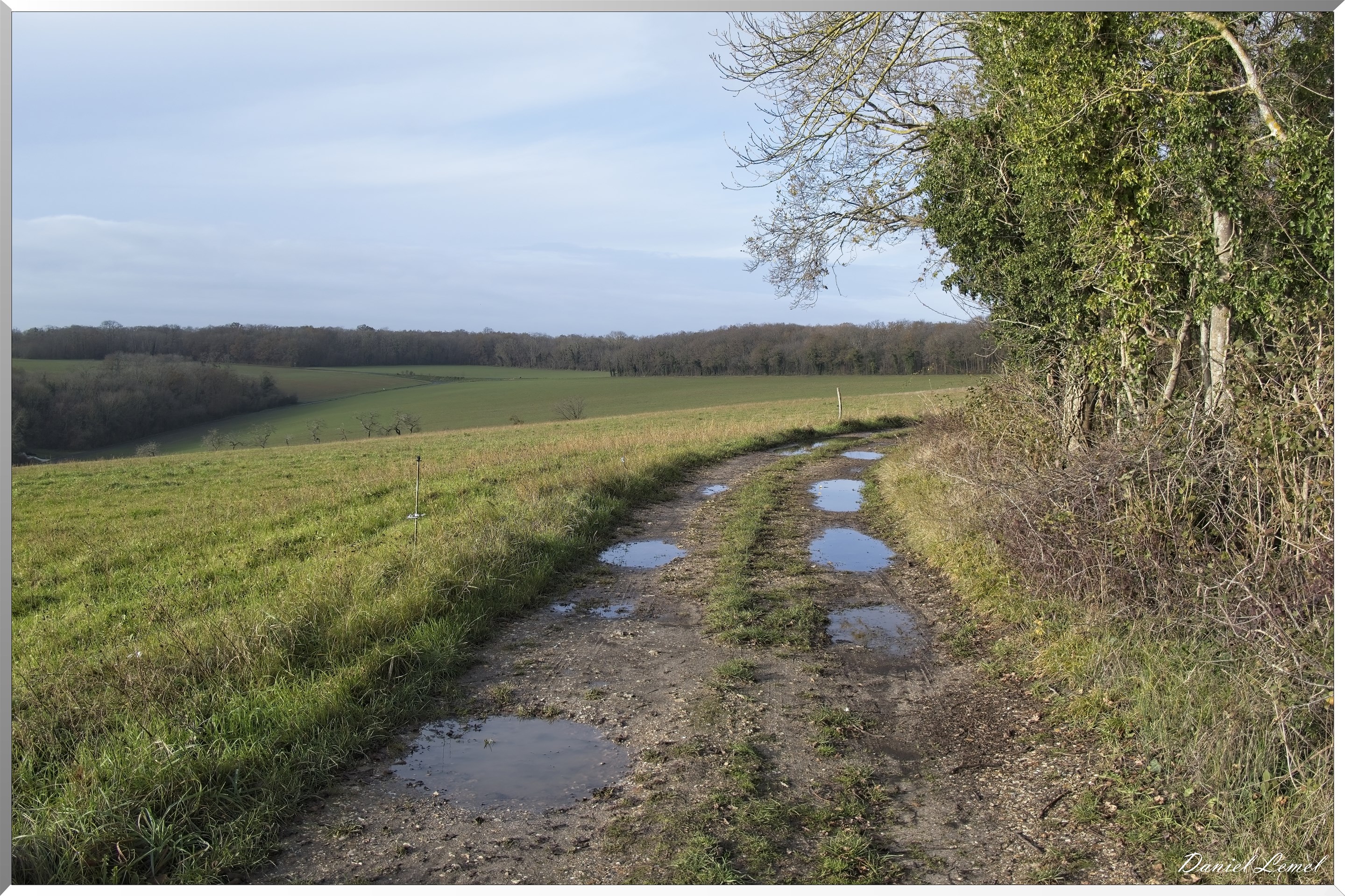 Gommecourt
