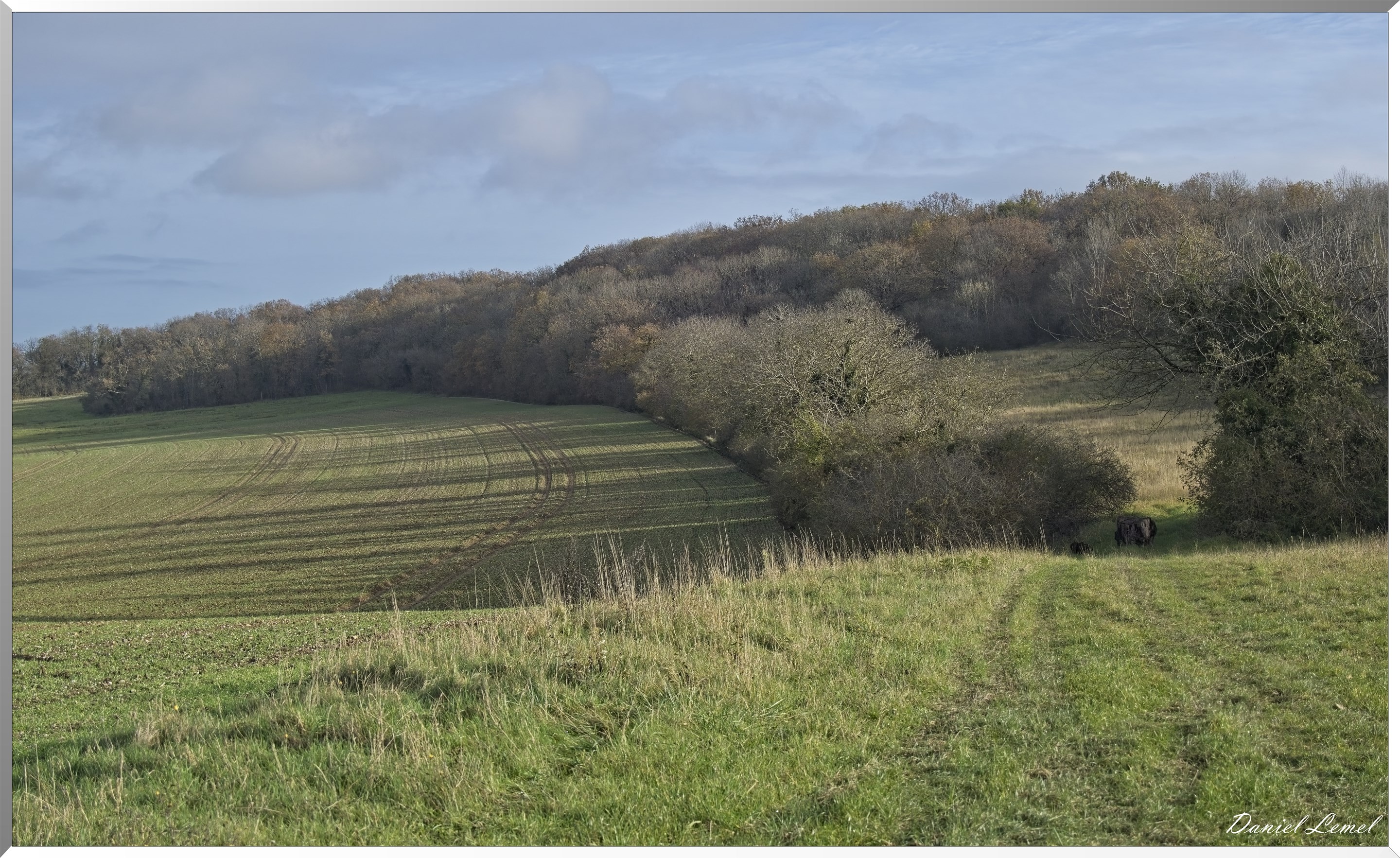 Gommecourt