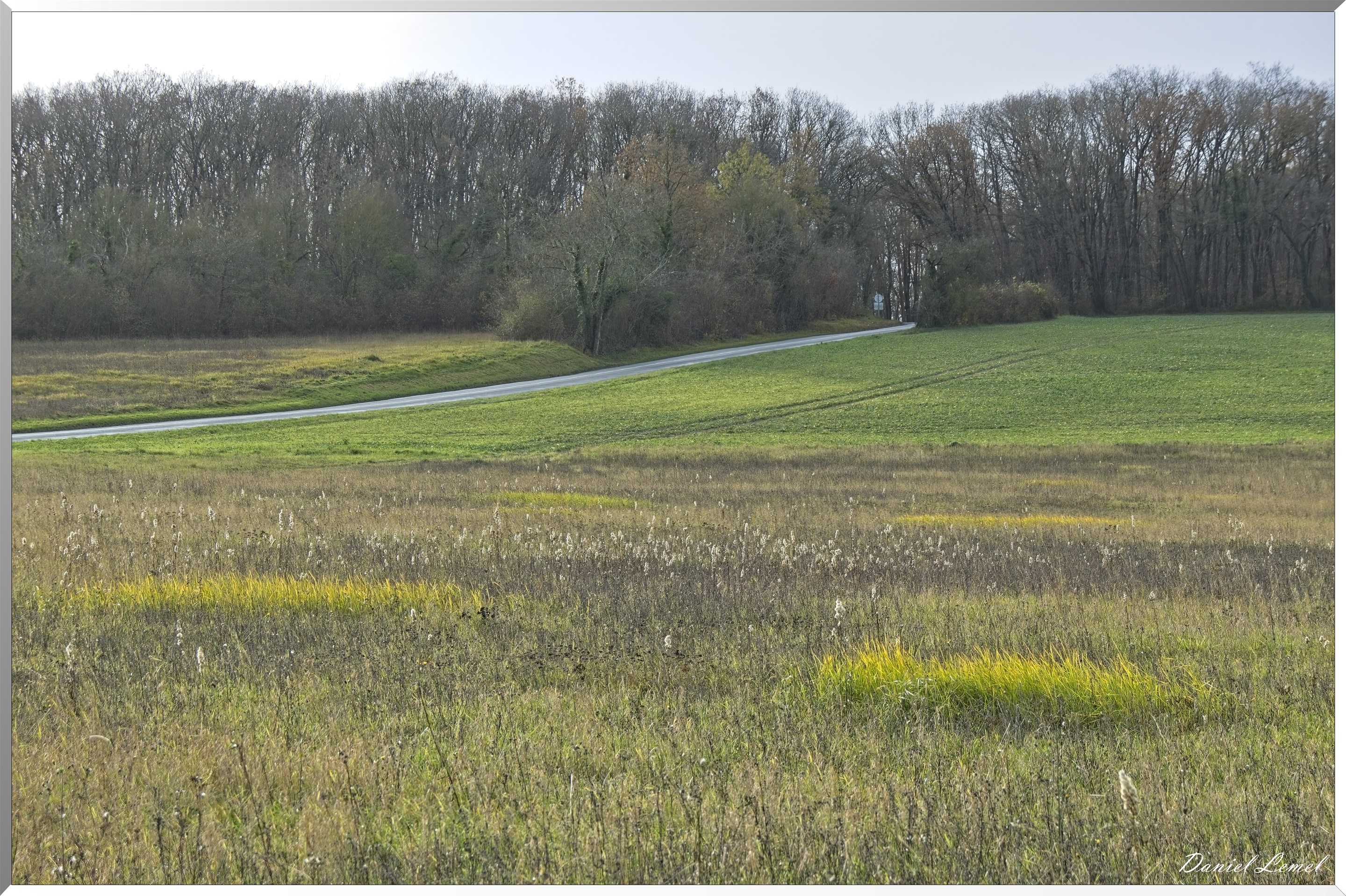 Gommecourt