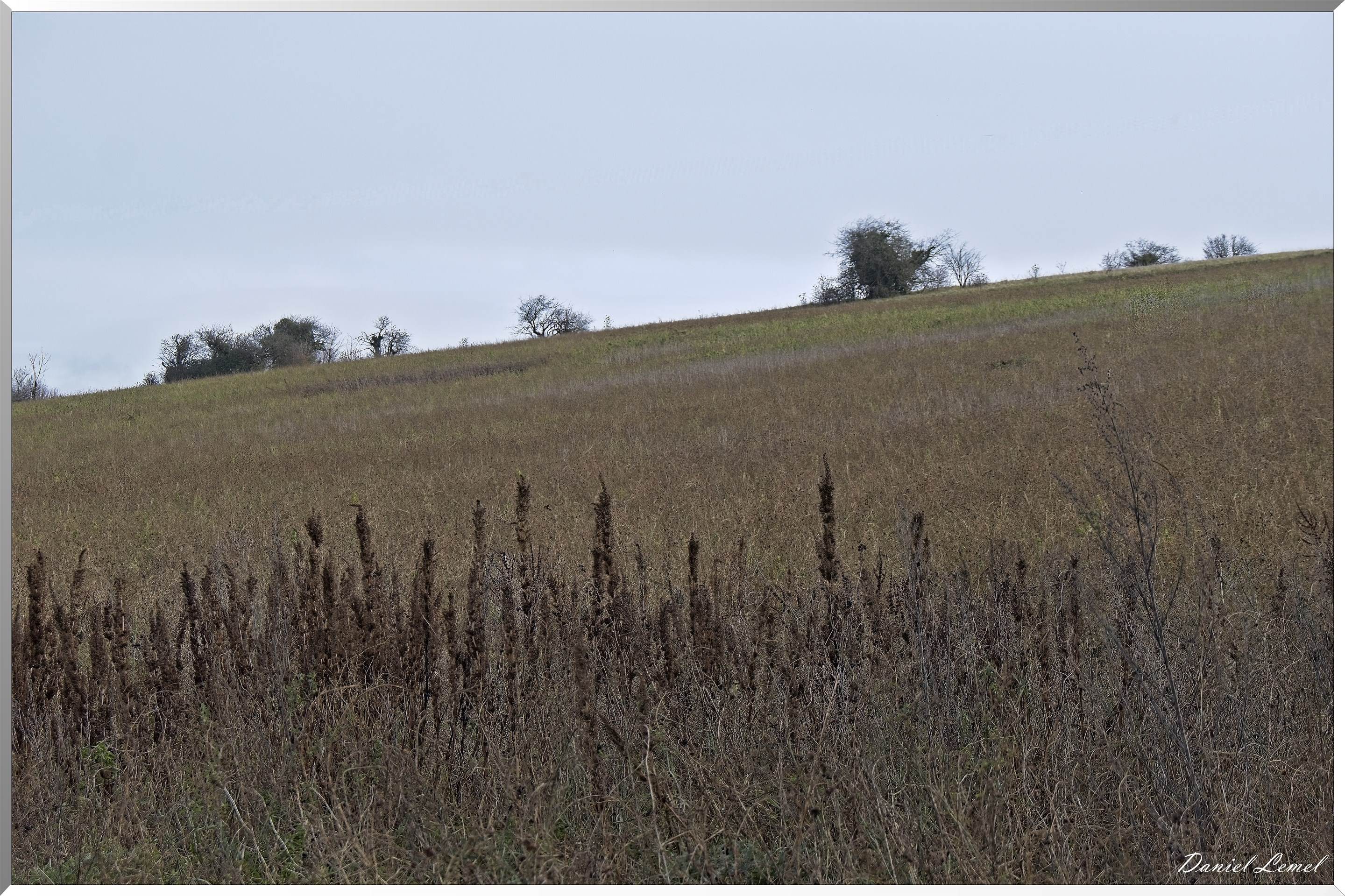 Gommecourt