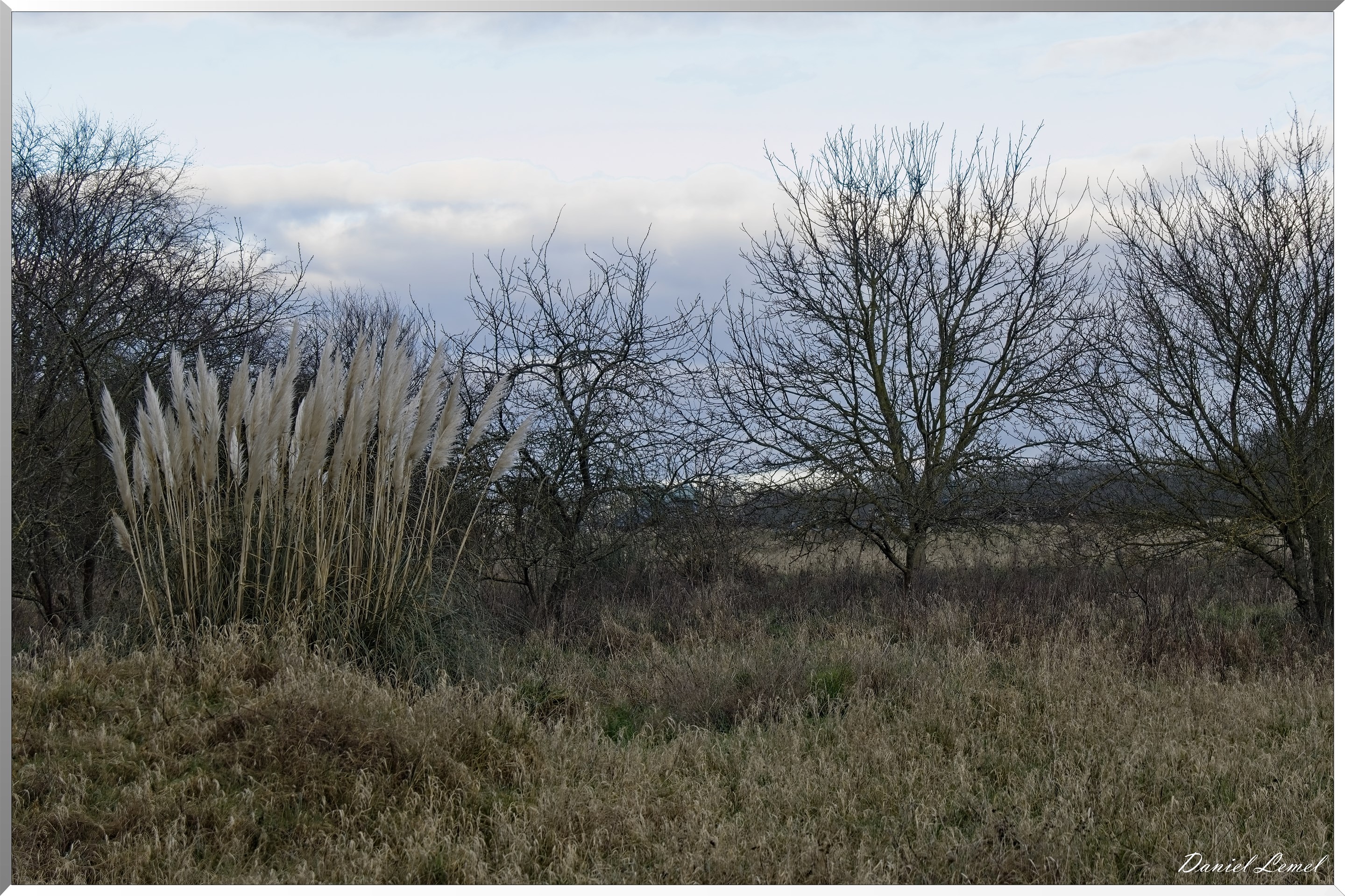 Bennecourt