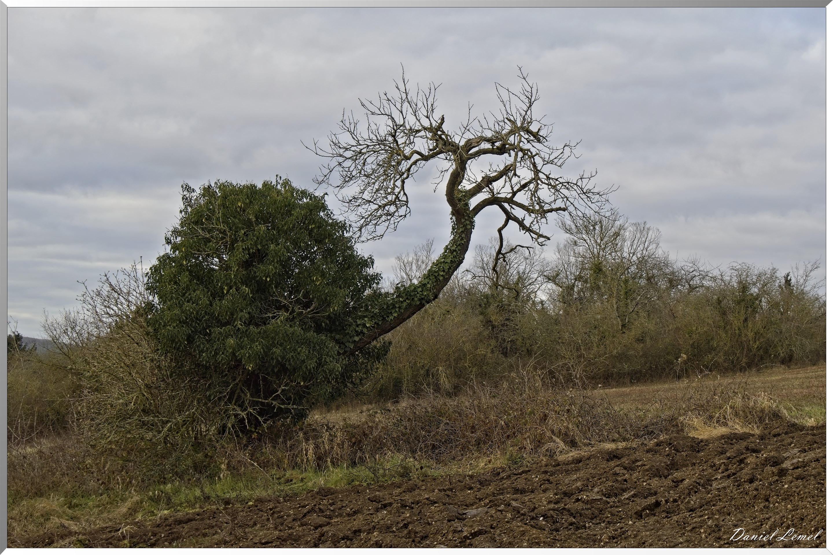 Bennecourt