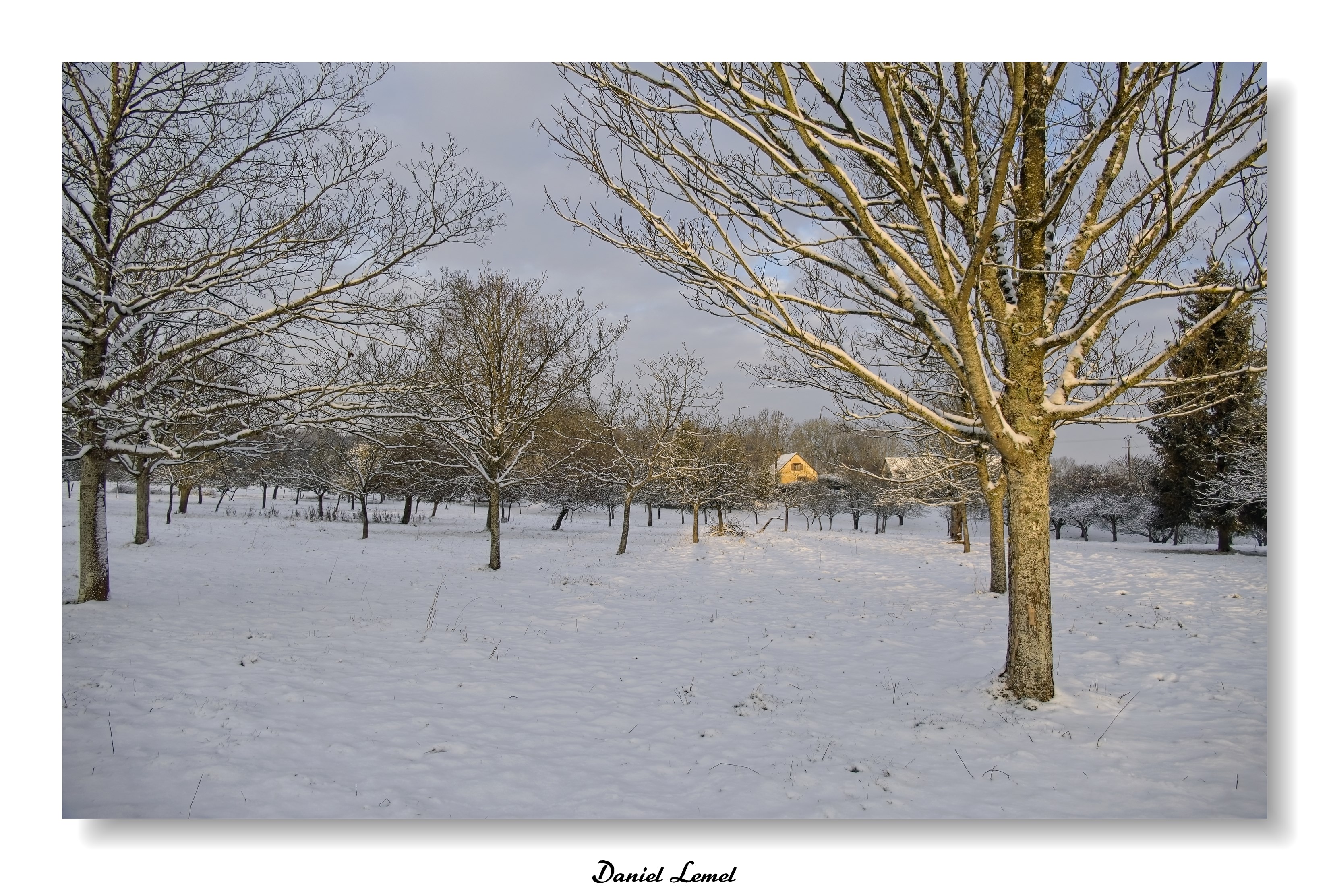 Dormont-Le-goulet