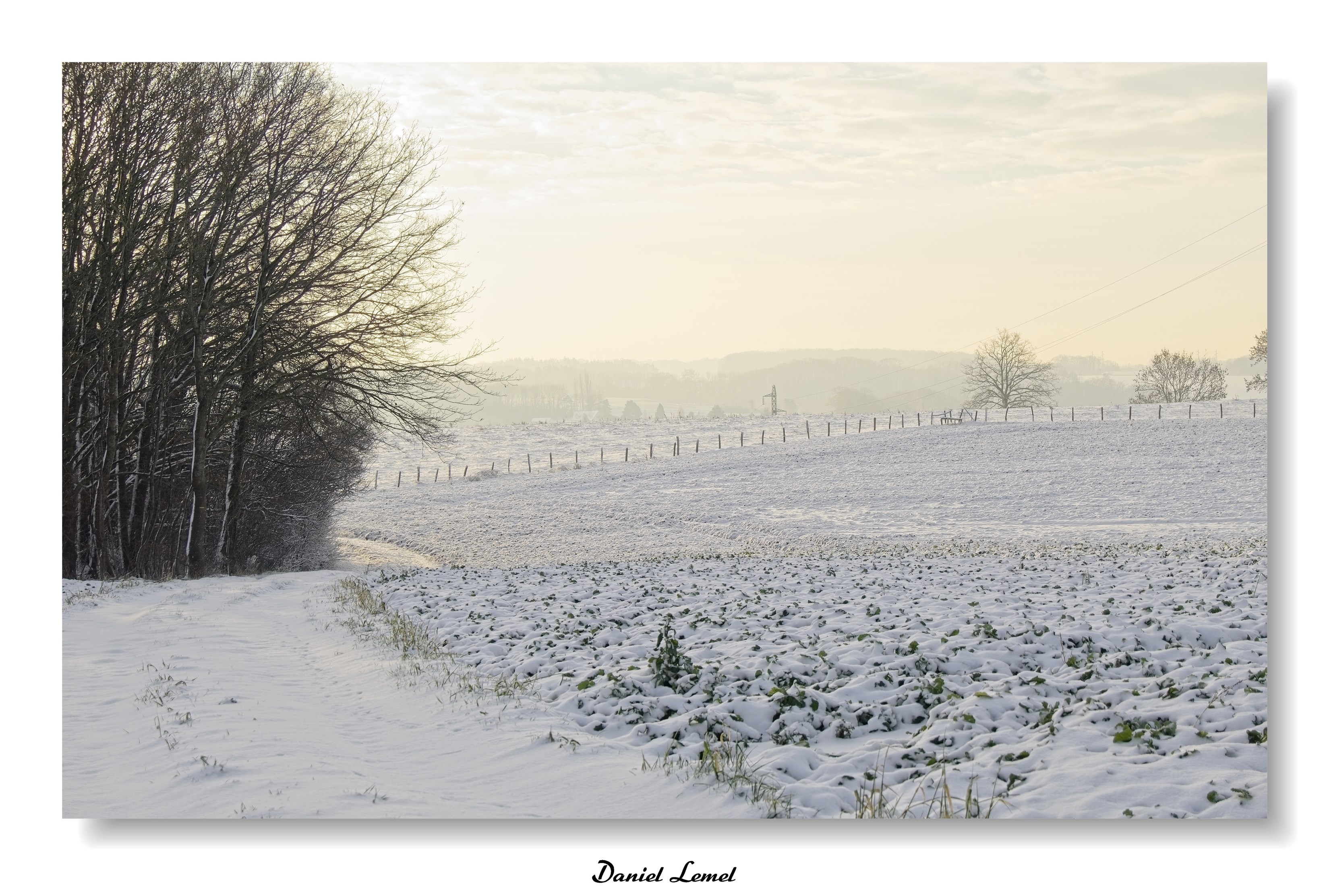 Dormont-Le-goulet