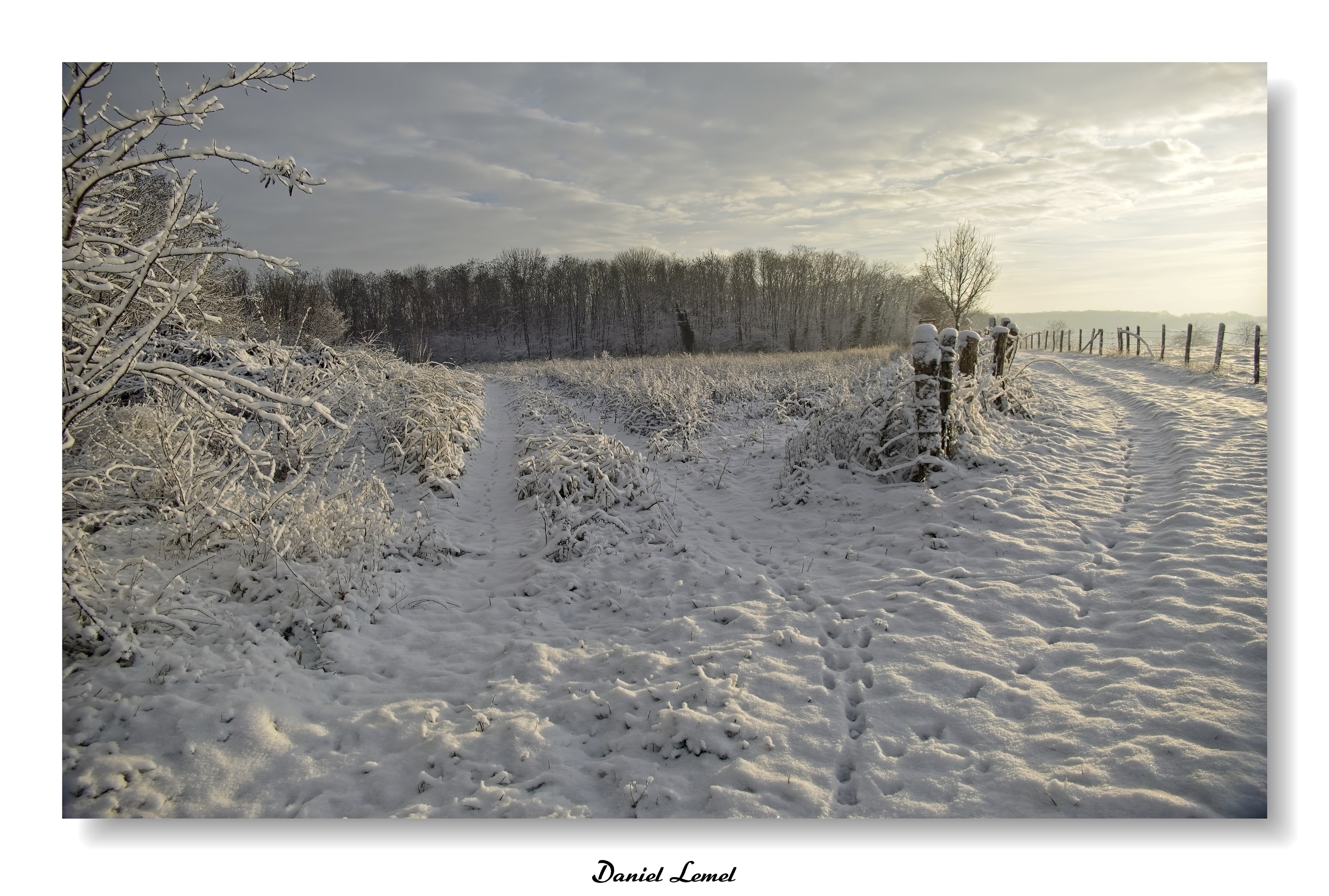 Dormont-Le-goulet