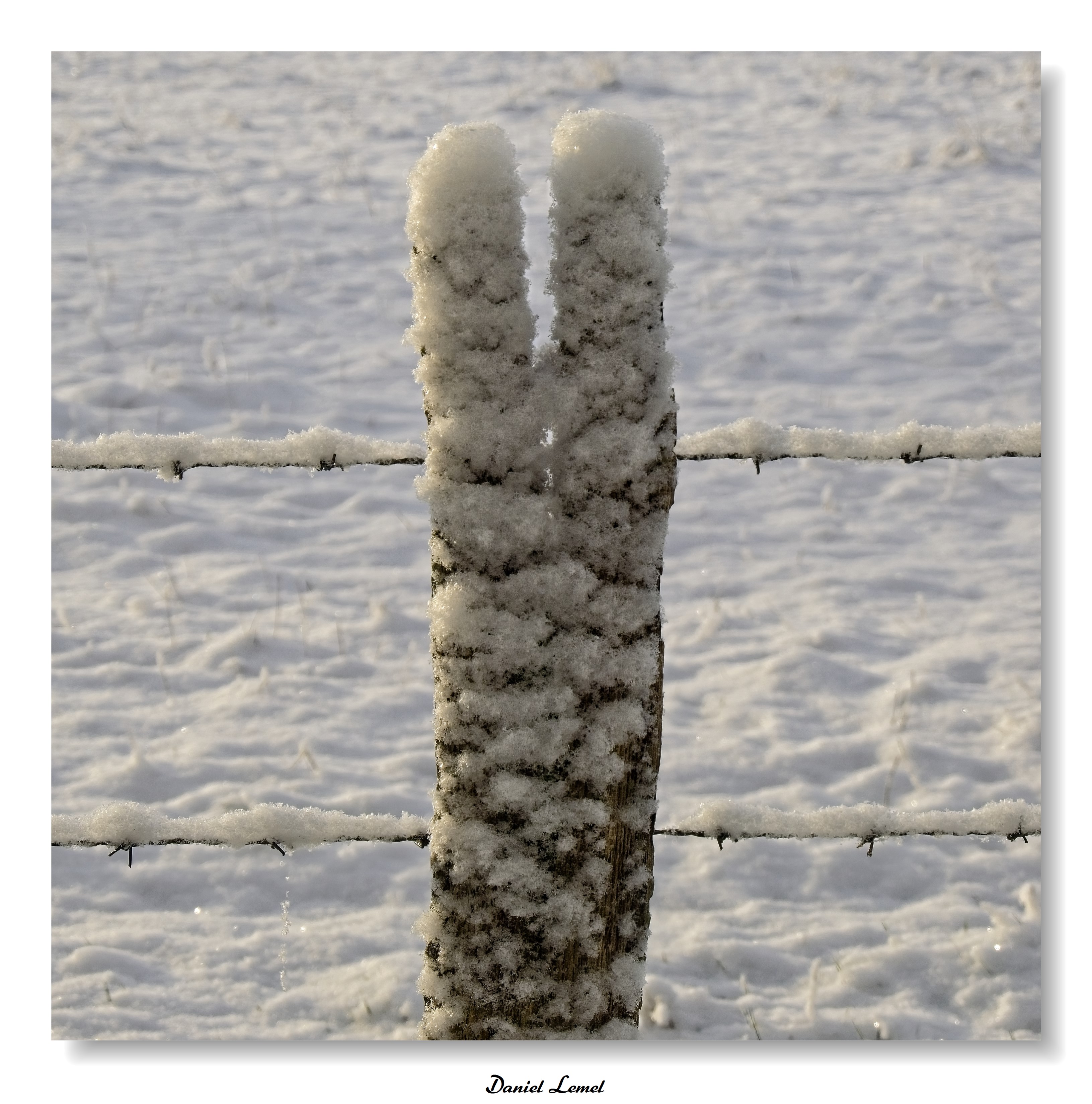 Dormont-Le-goulet