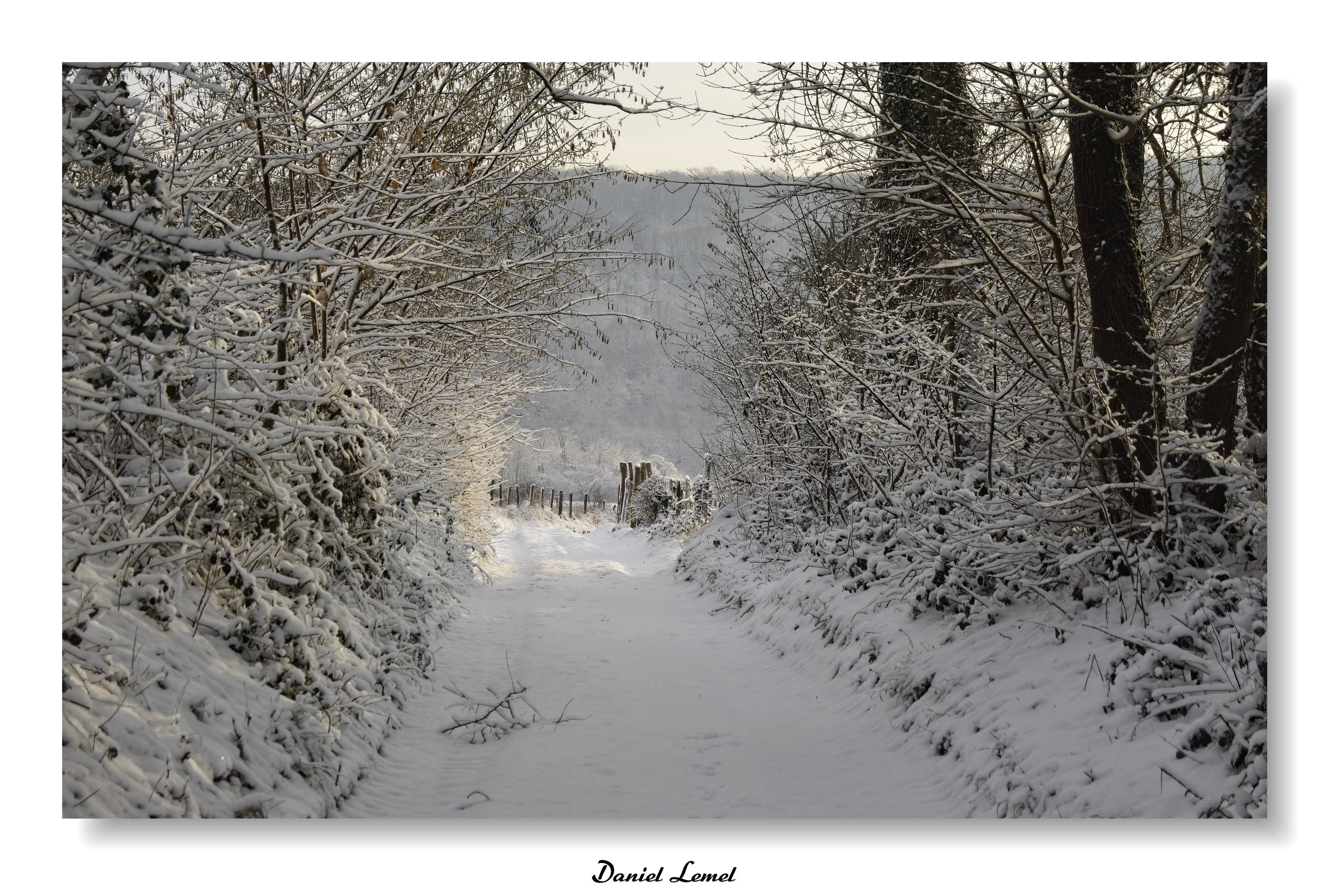 Dormont-Le-goulet