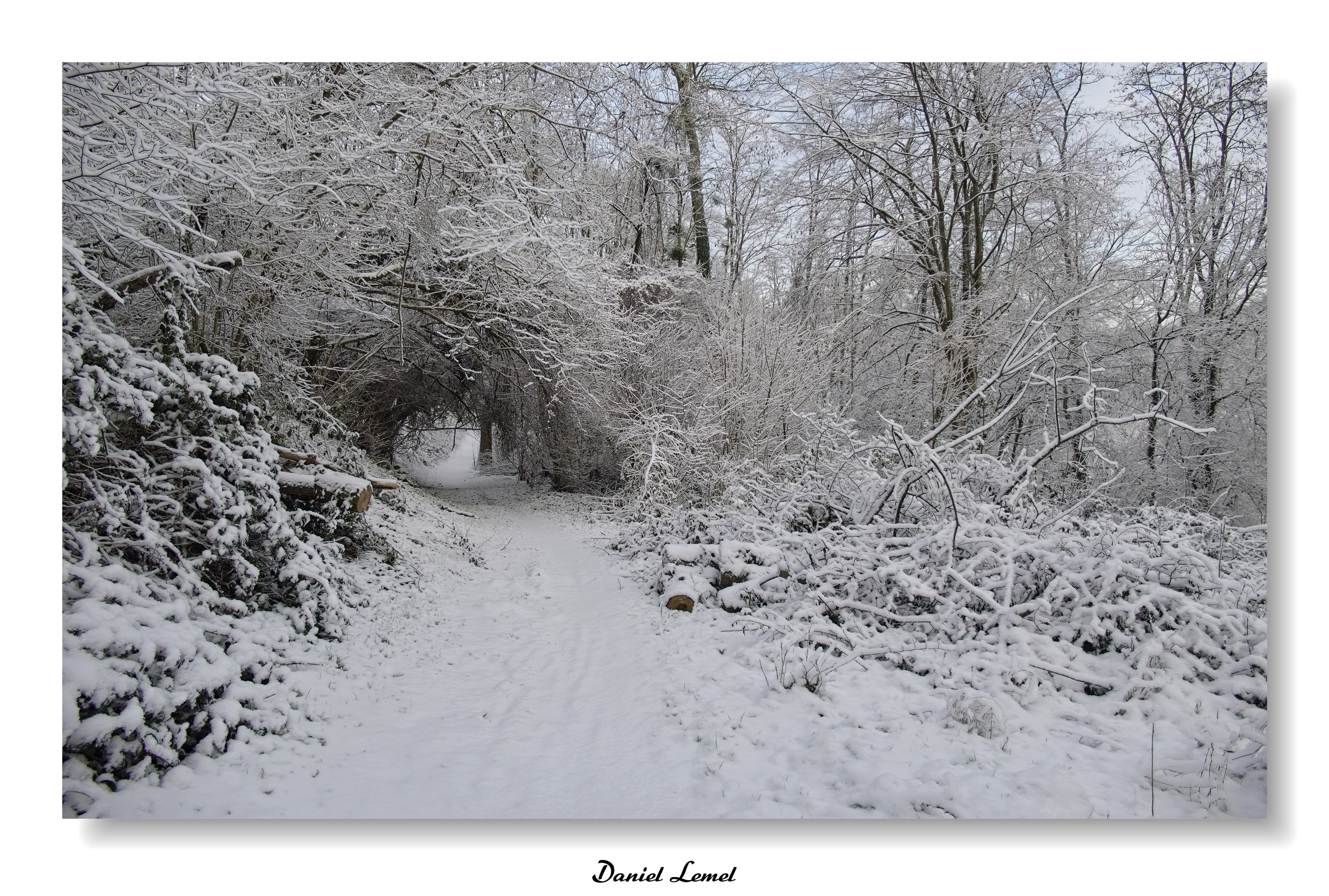 Dormont-Le-goulet