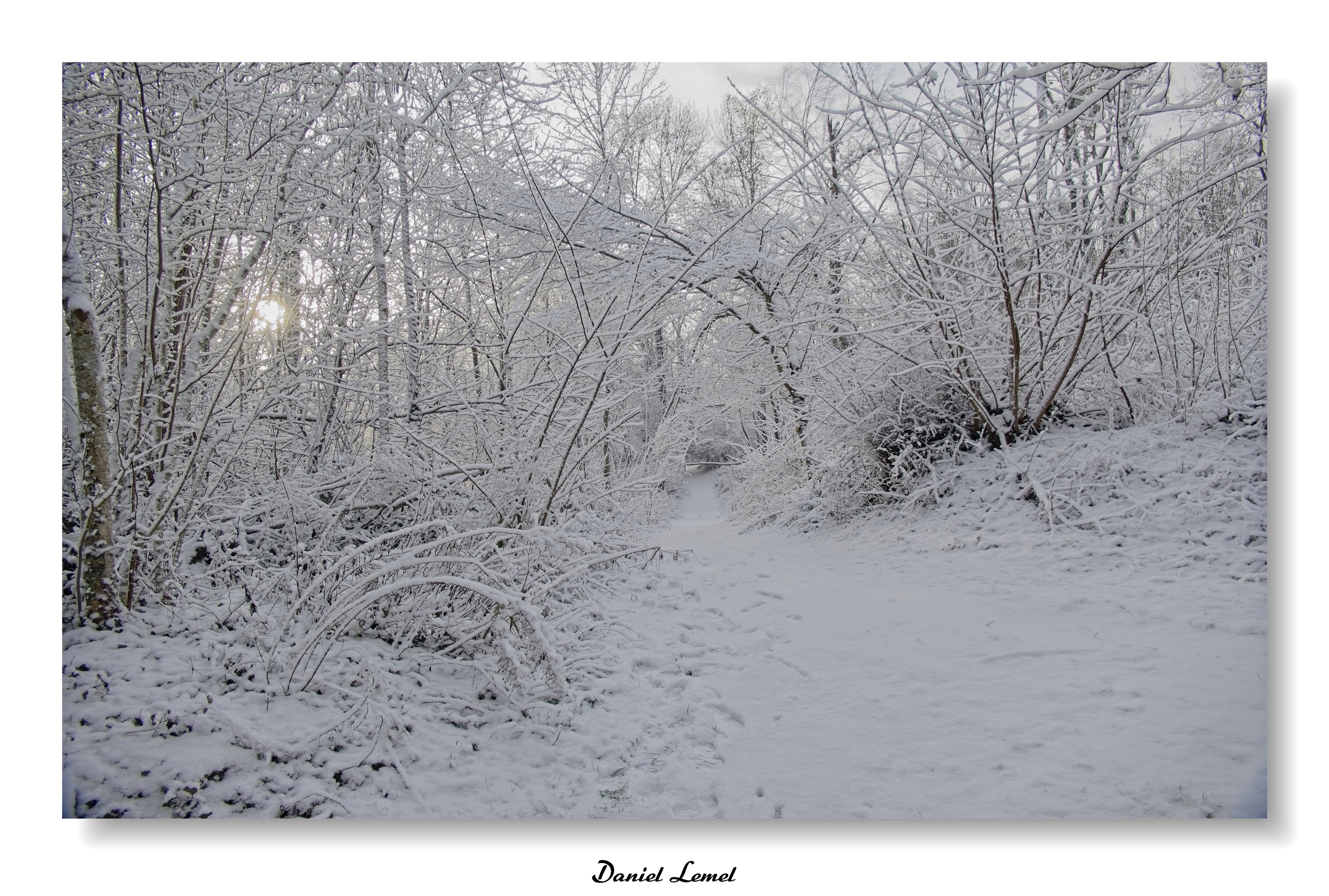 Dormont-Le-goulet