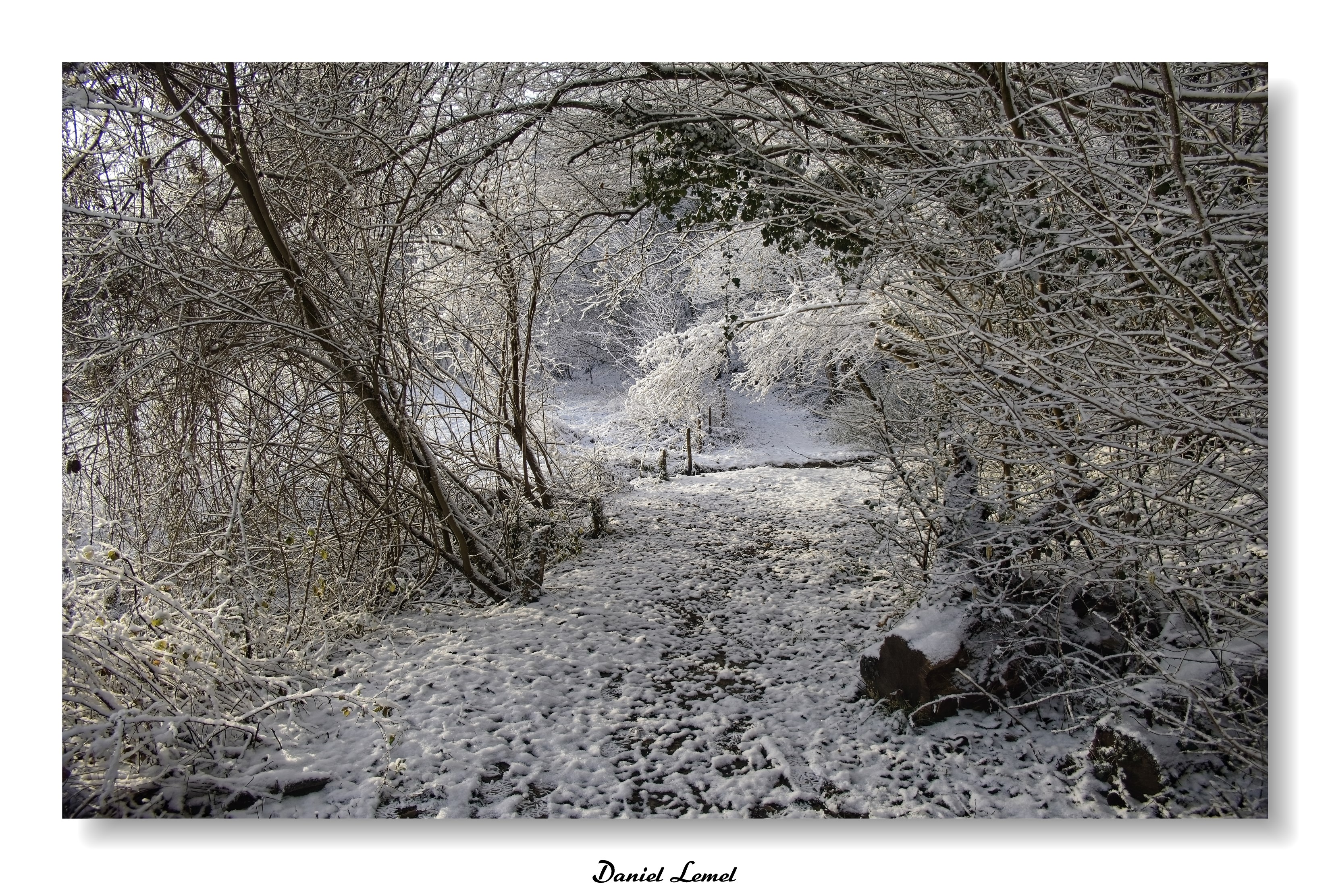 Dormont-Le-goulet