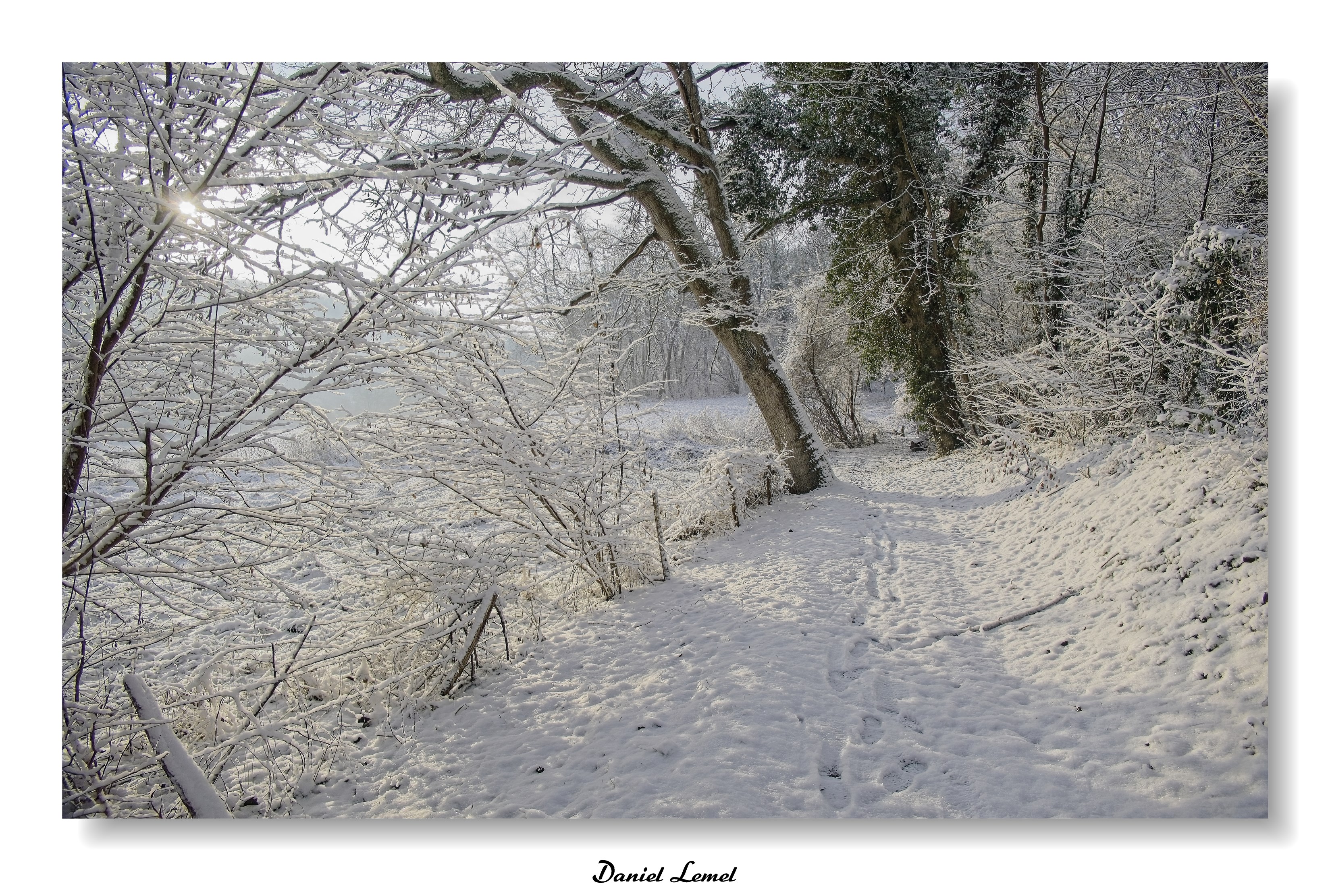 Dormont-Le-goulet