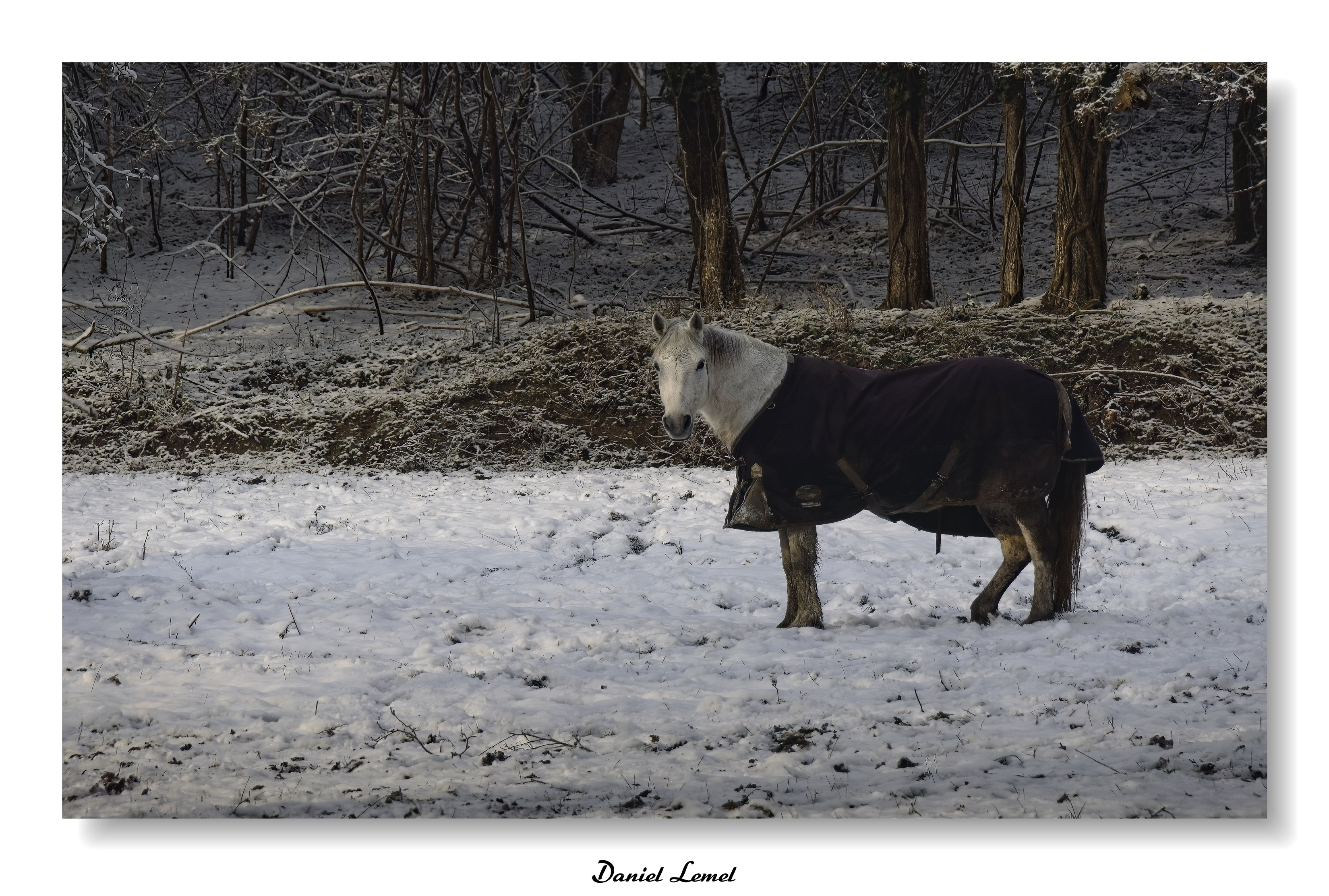 Dormont-Le-goulet