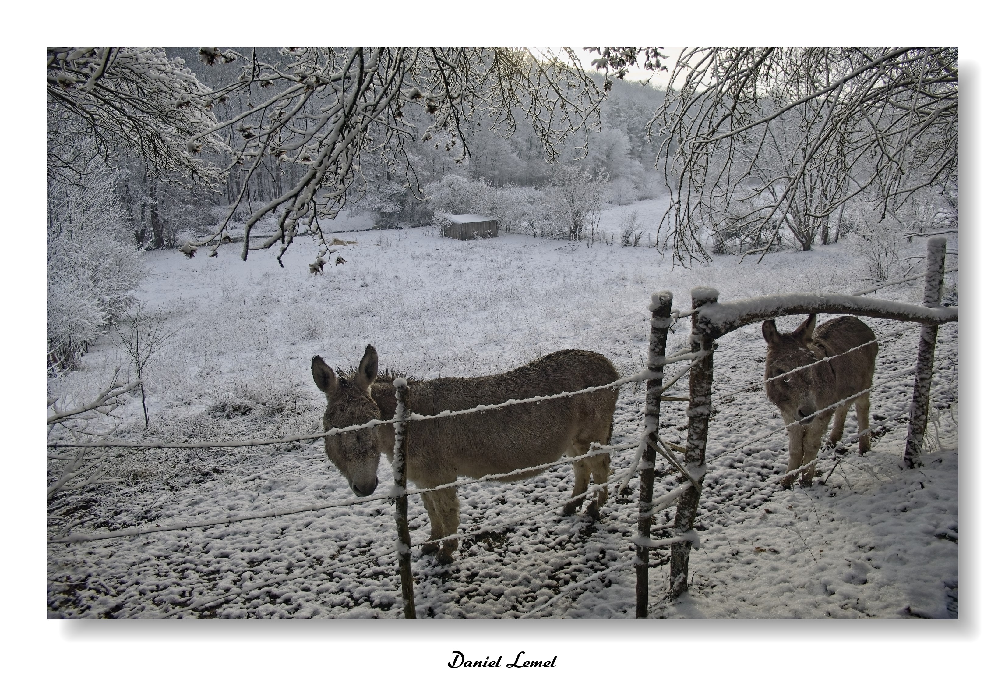 Dormont-Le-goulet