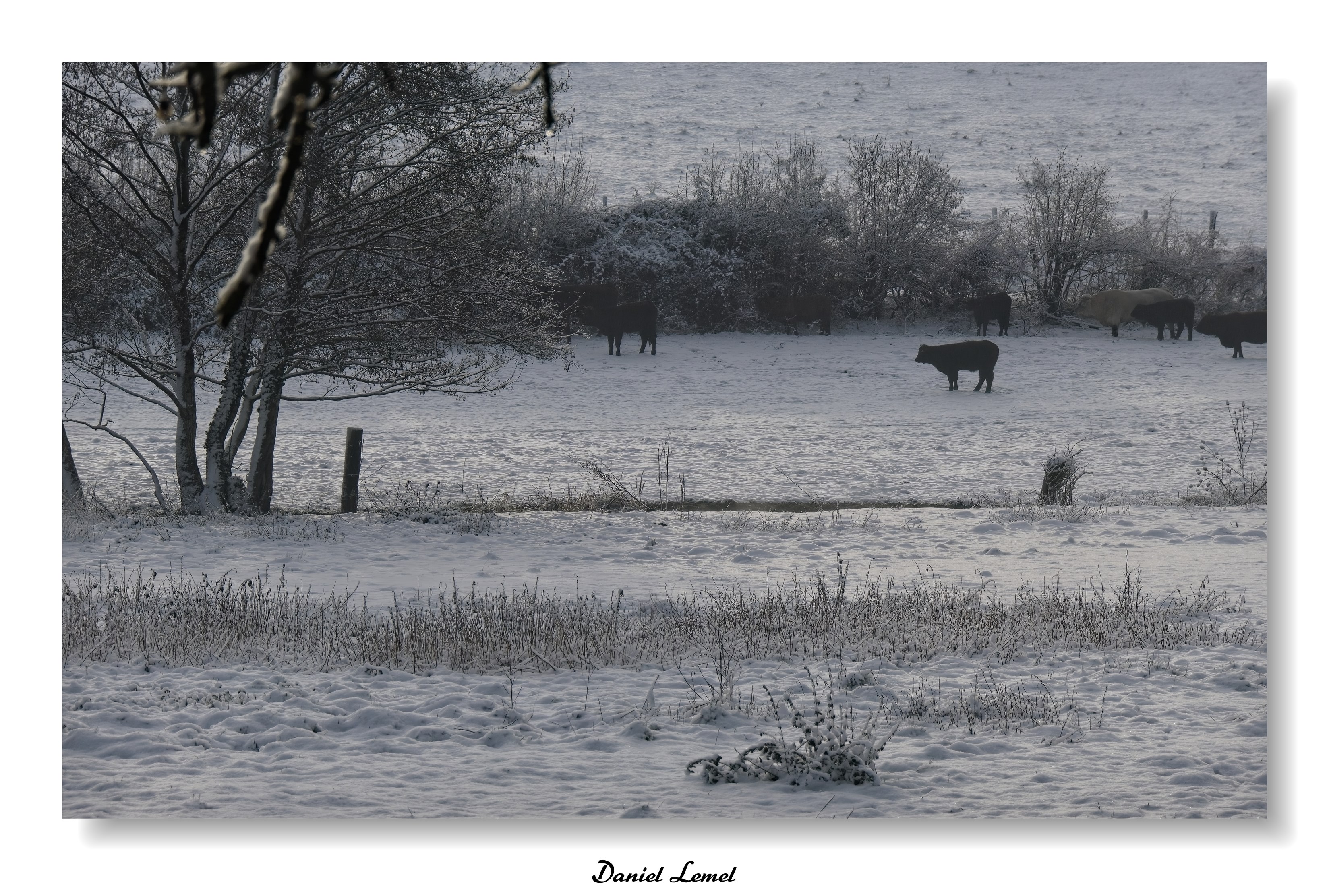 Dormont-Le-goulet