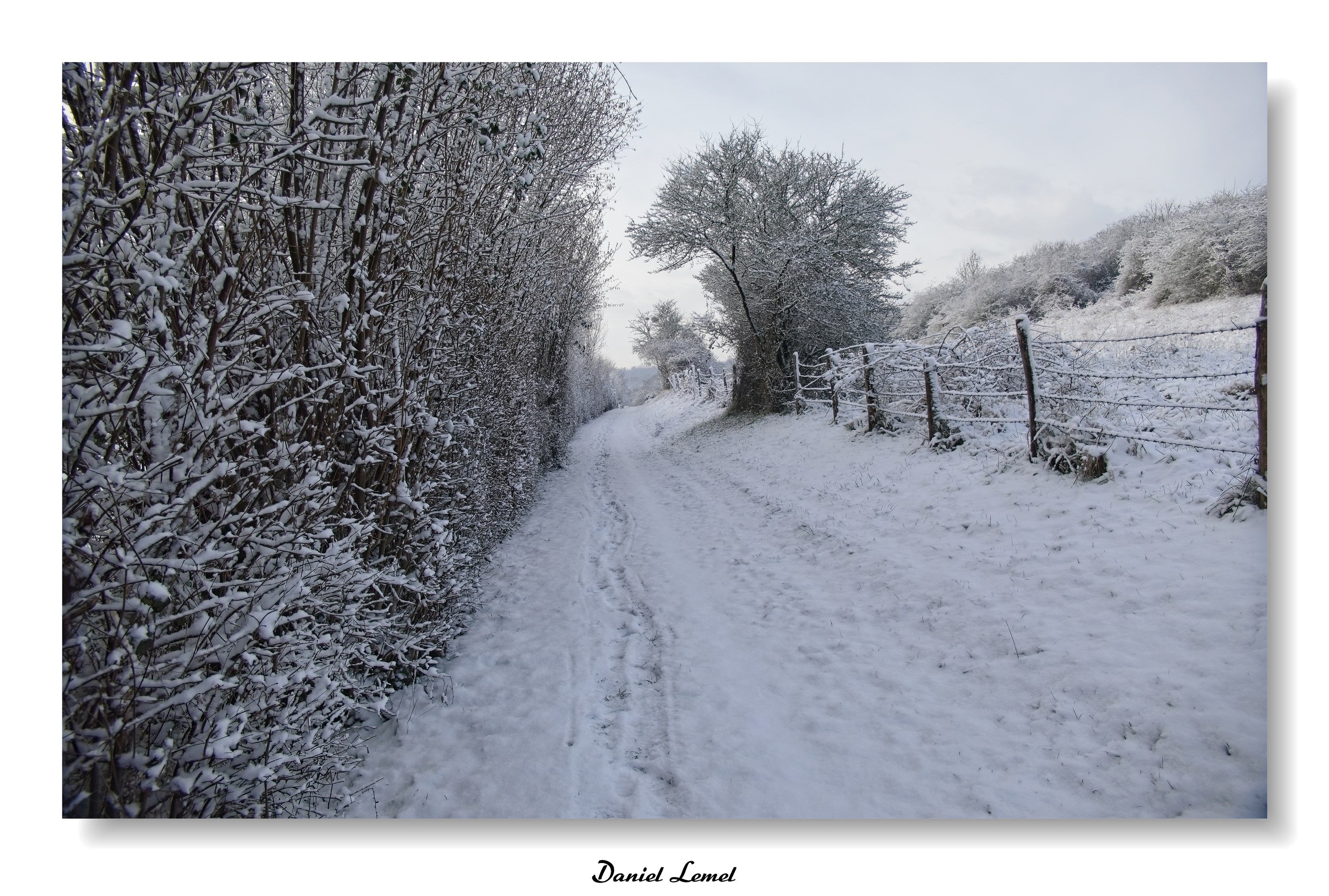 Dormont-Le-goulet