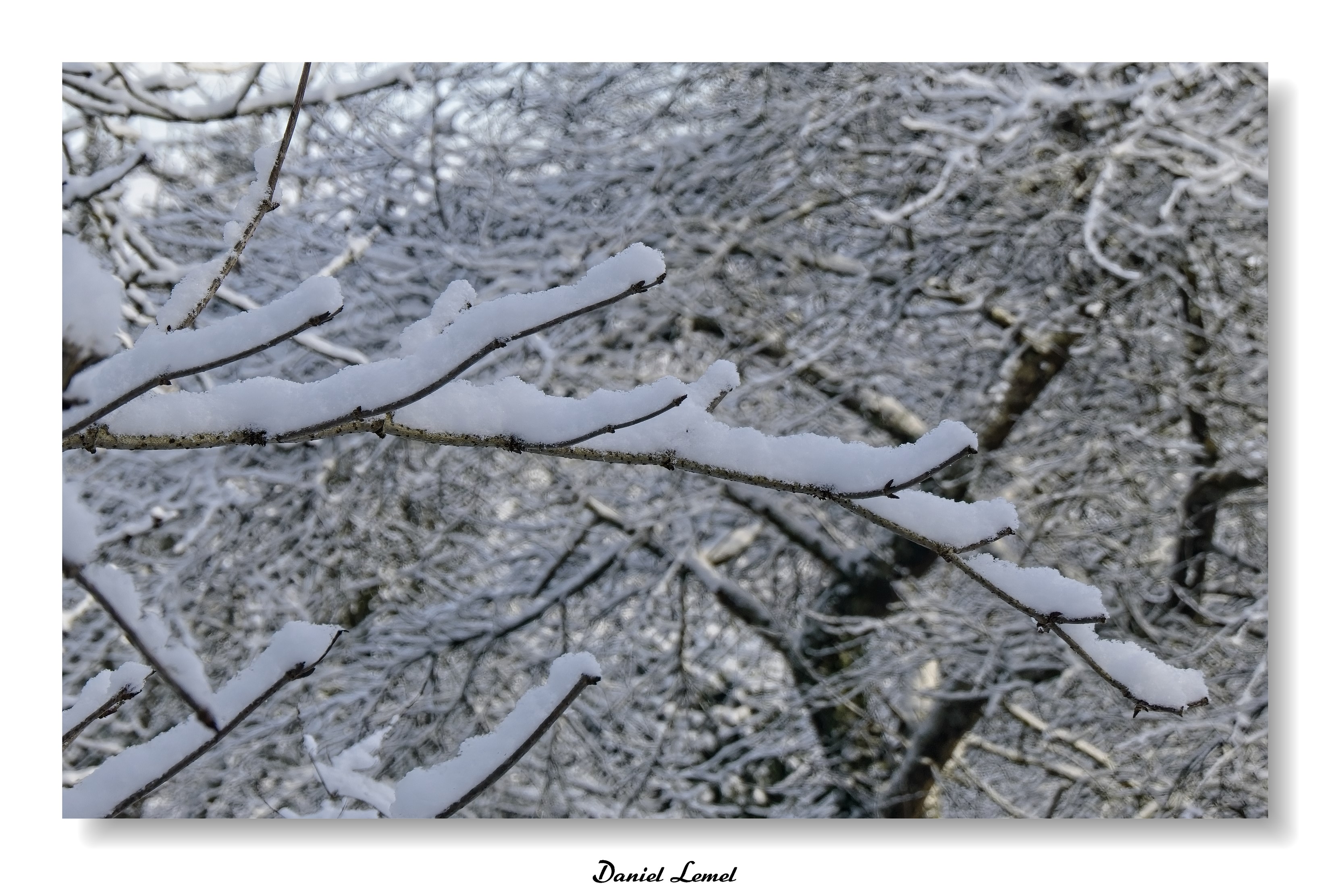 Dormont-Le-goulet