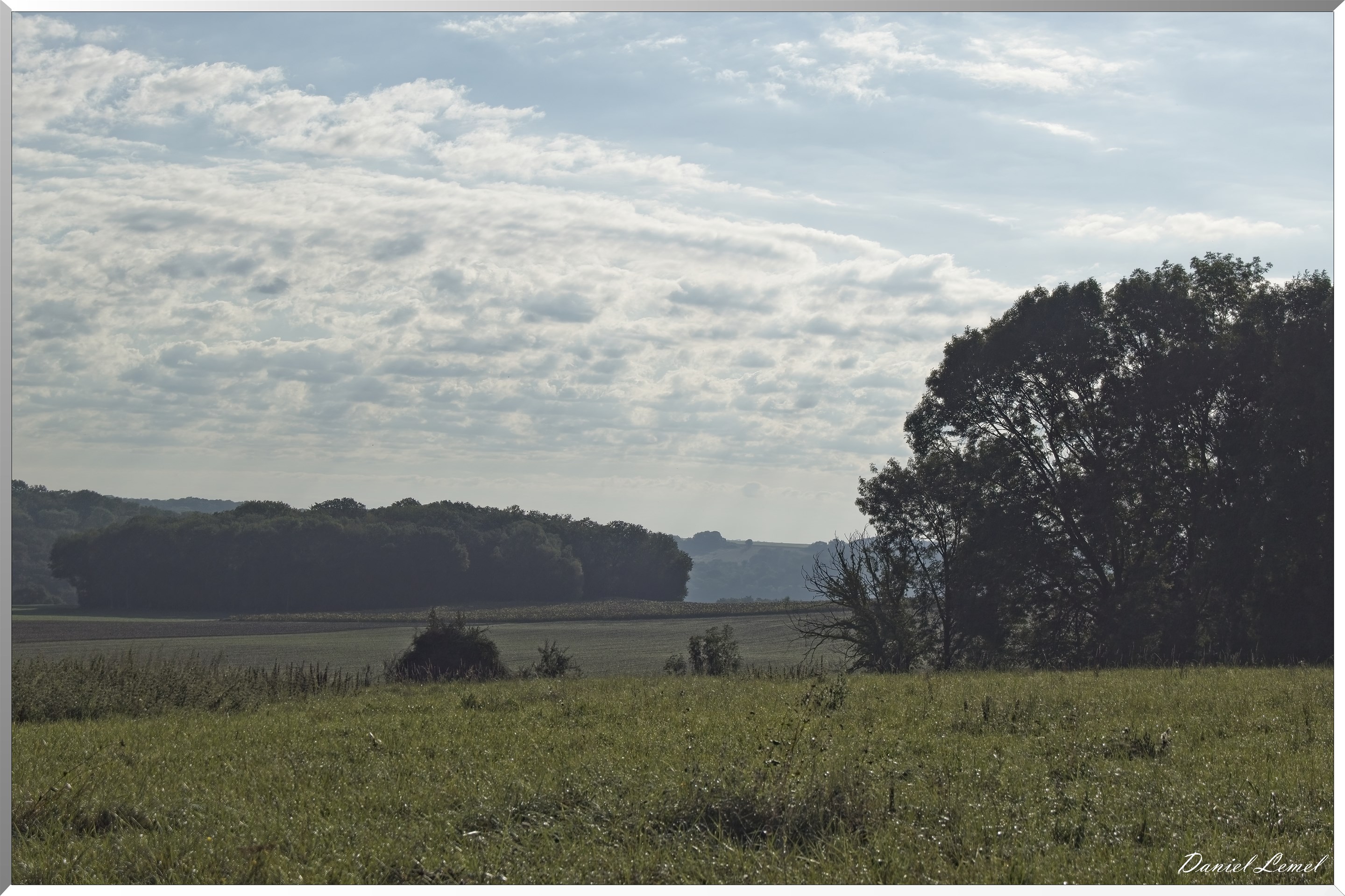 Dampsmesnil