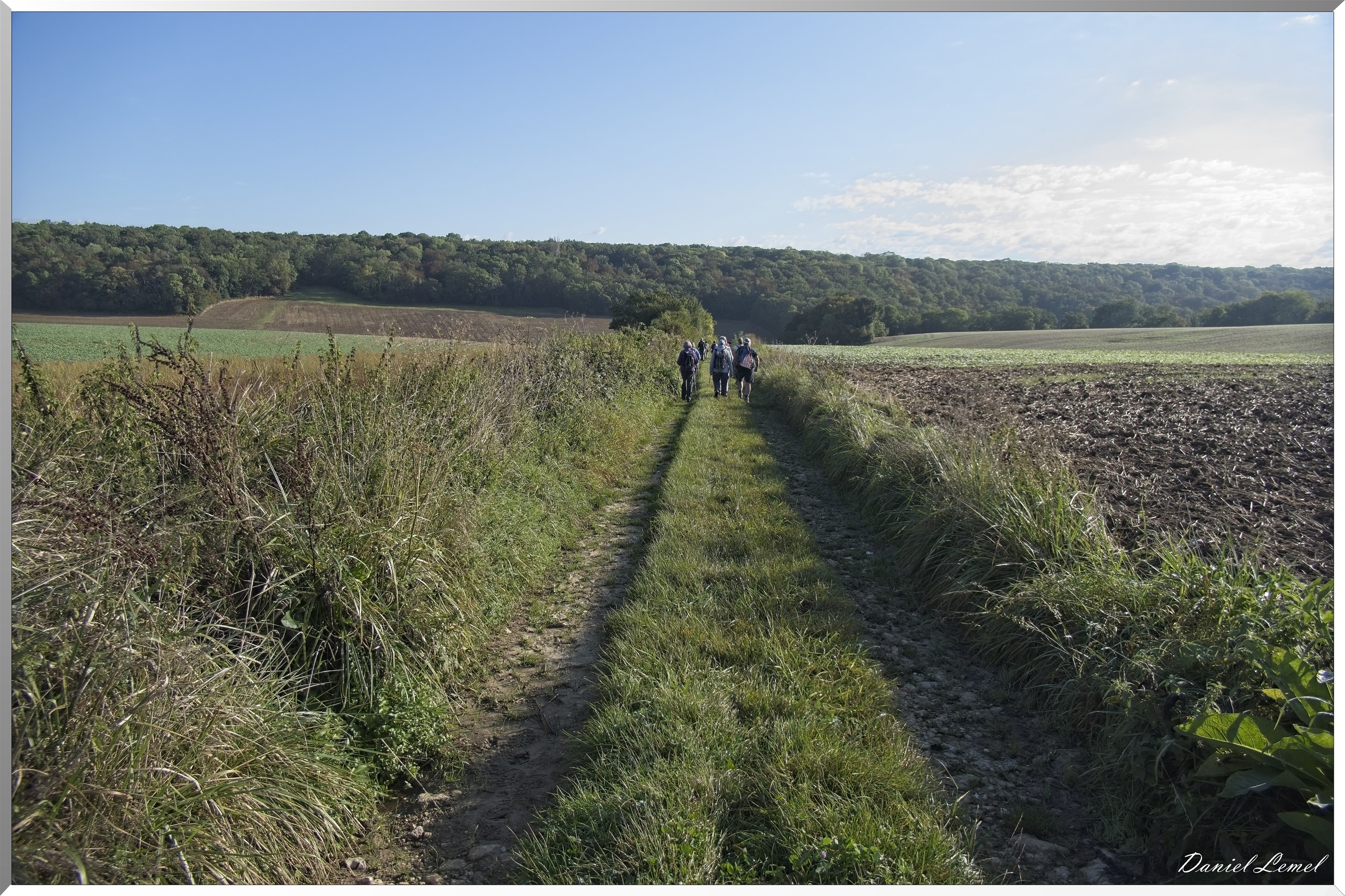 Dampsmesnil