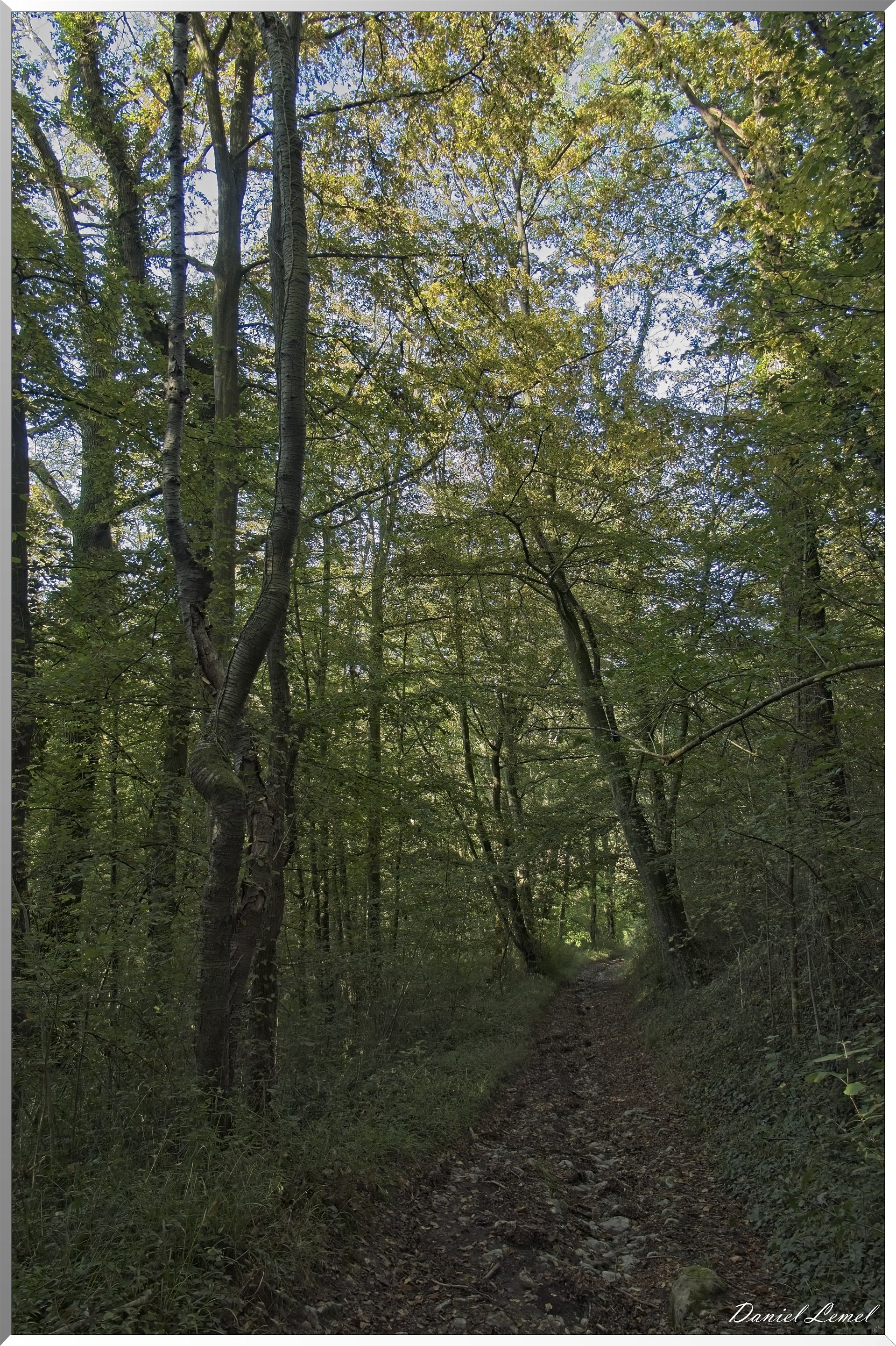 Dampsmesnil